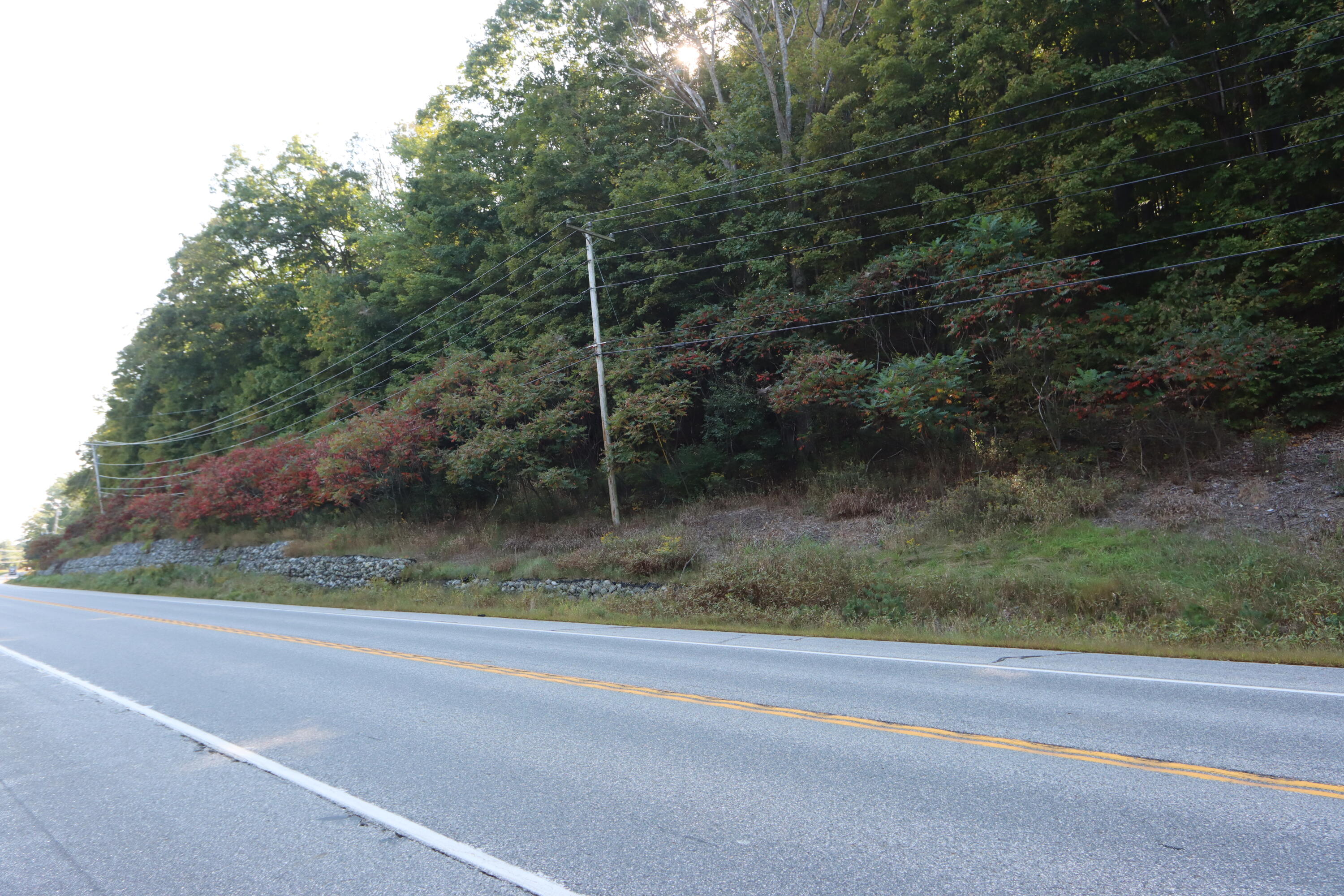 Lot 21 Auburn Road Turner, ME 04282 - Photo 8 of 8 IMG_9642