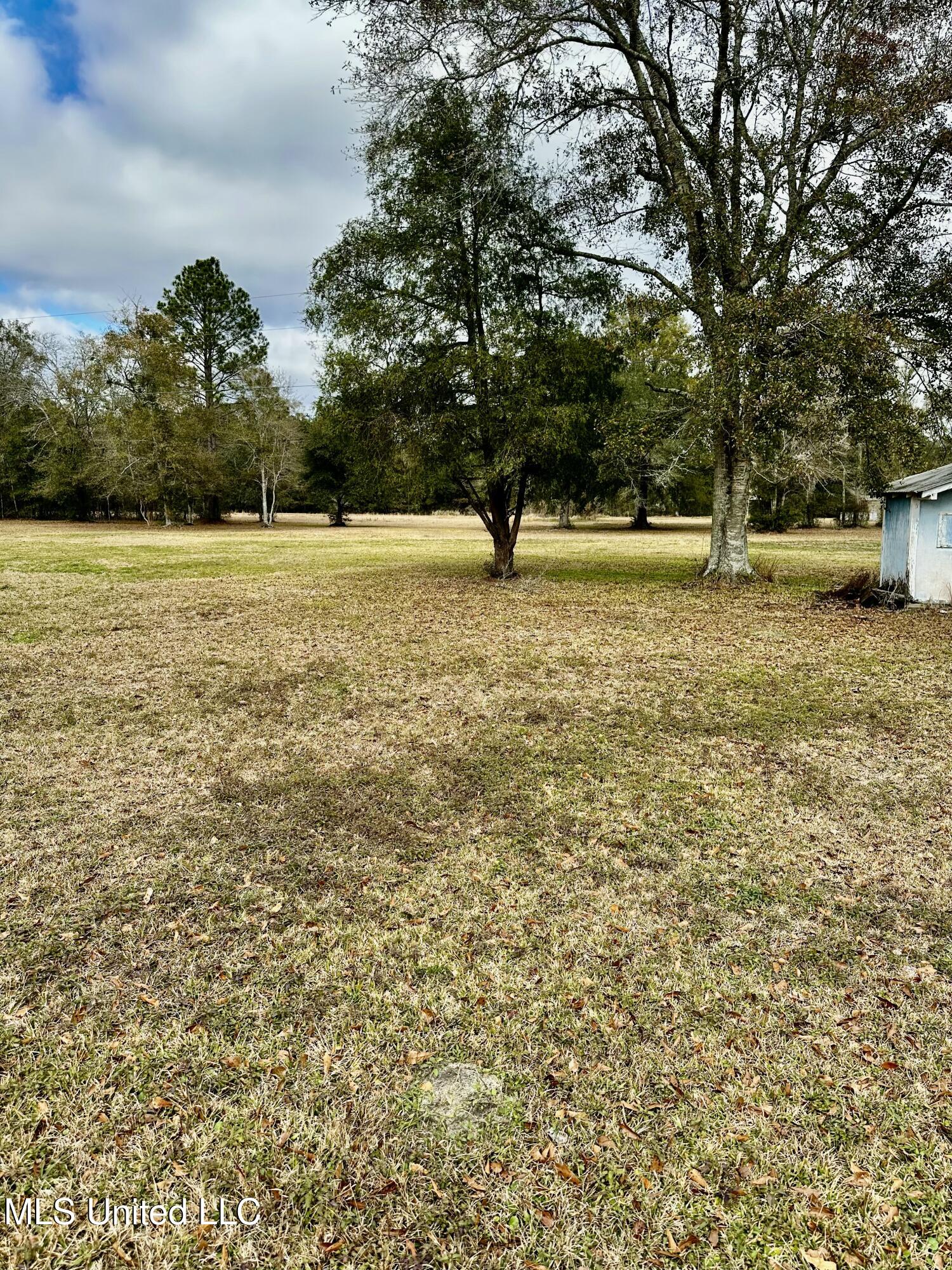 12217 Philadelphia Road Moss Point, MS 39562 - Photo 6 of 23 IMG_1006