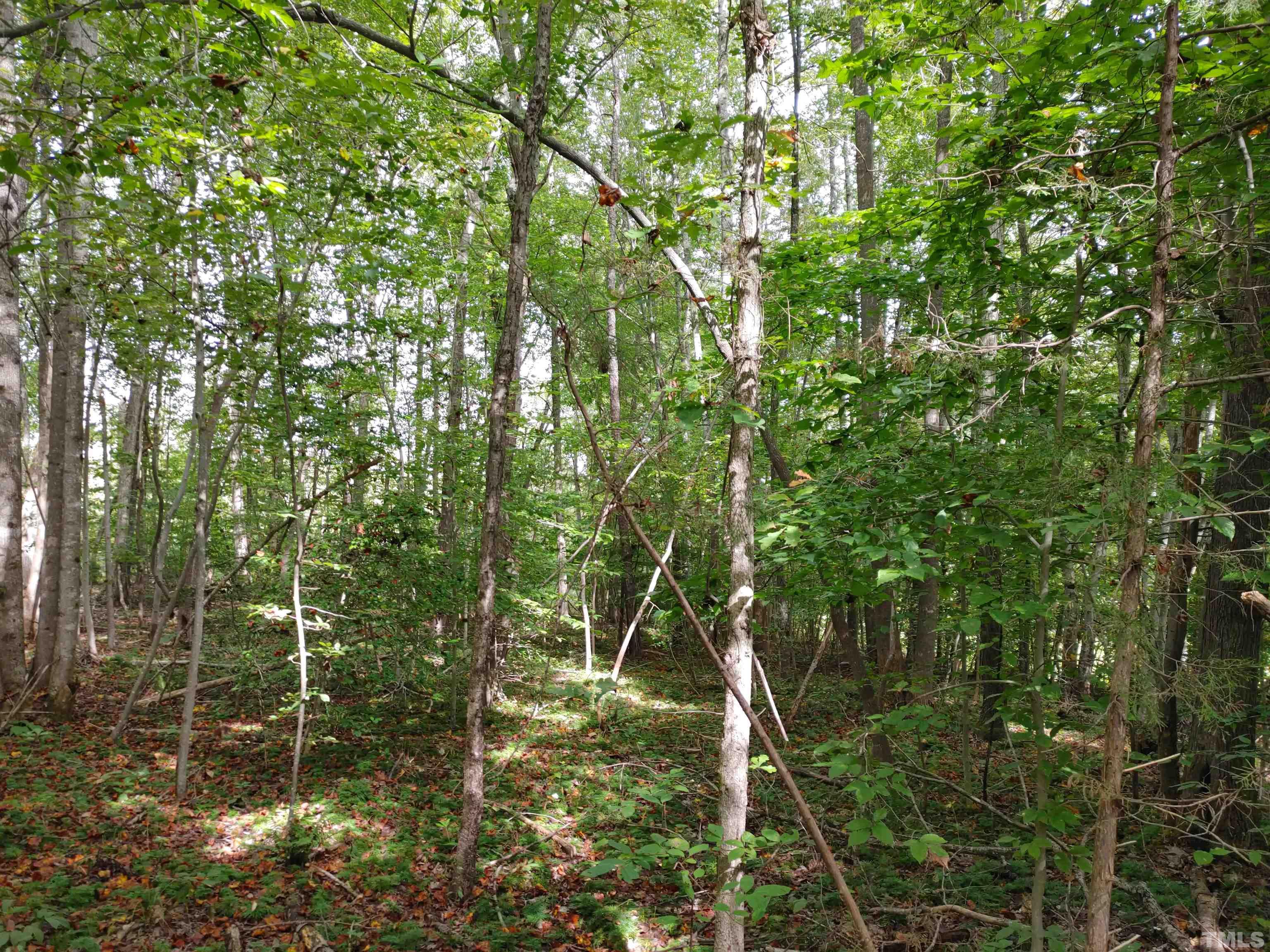 Lot 3 Virgilina Road Roxboro, NC 27574 - Photo 1 of 7 a backyard of a house with lots of plants and large trees