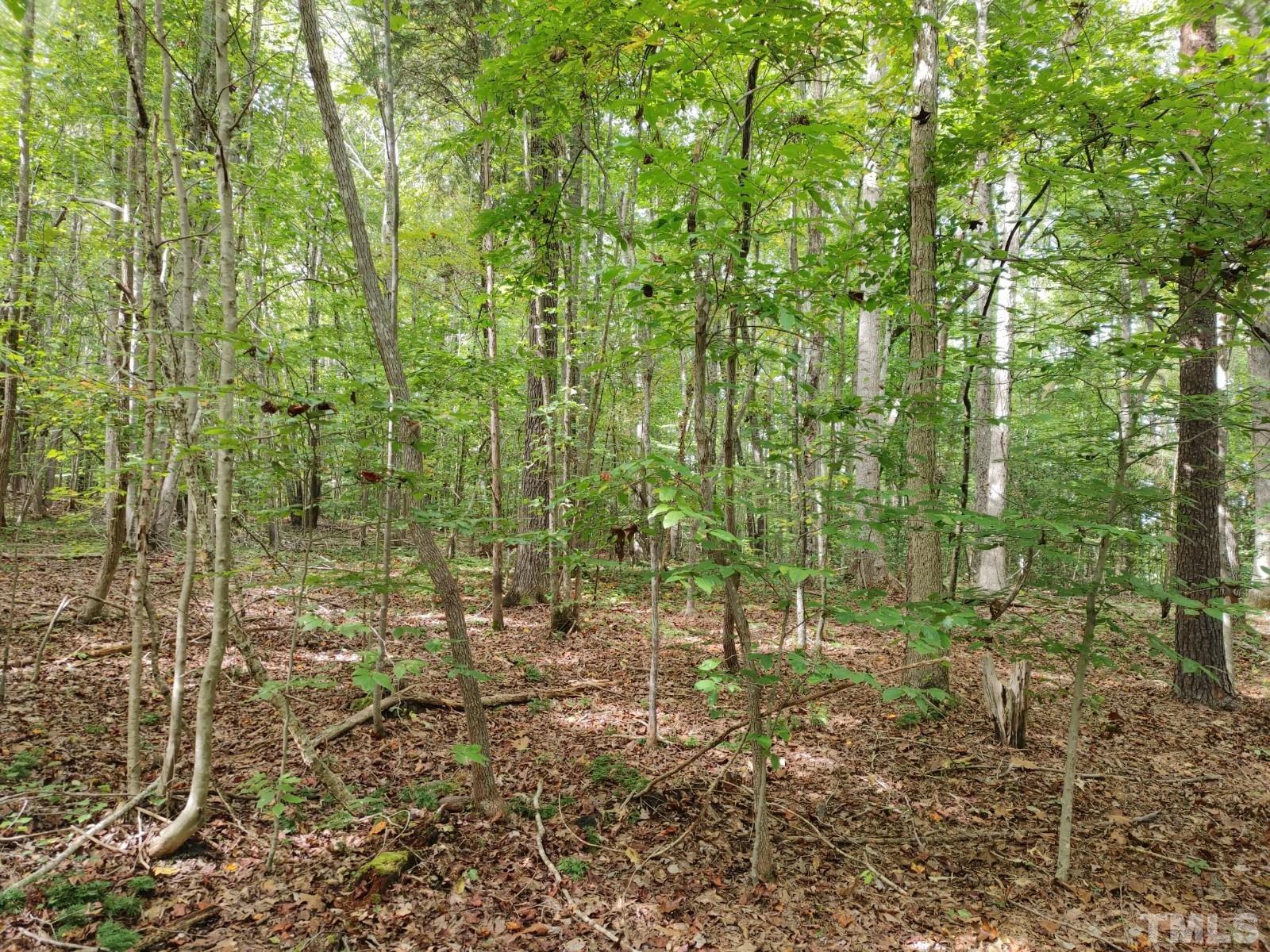 Lot 3 Virgilina Road Roxboro, NC 27574 - Photo 3 of 7 a view of a garden