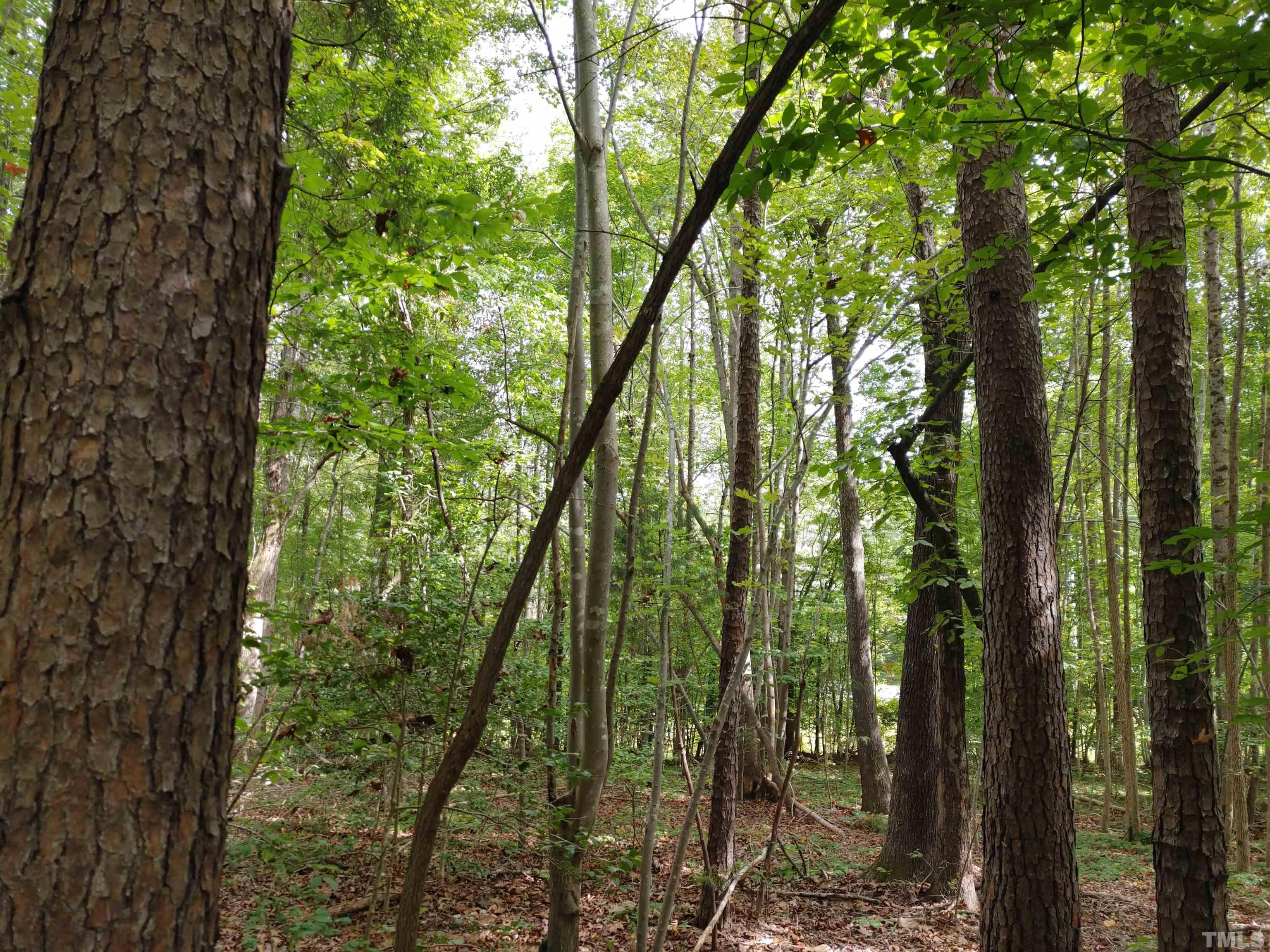 Lot 3 Virgilina Road Roxboro, NC 27574 - Photo 4 of 7 a view of a yard