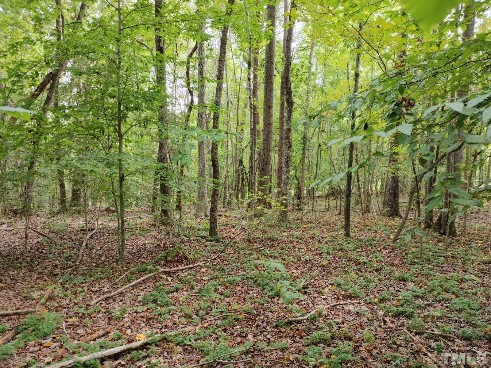 Lot 3 Virgilina Road Roxboro, NC 27574 - Photo 5 of 7 a view of outdoor space and green space