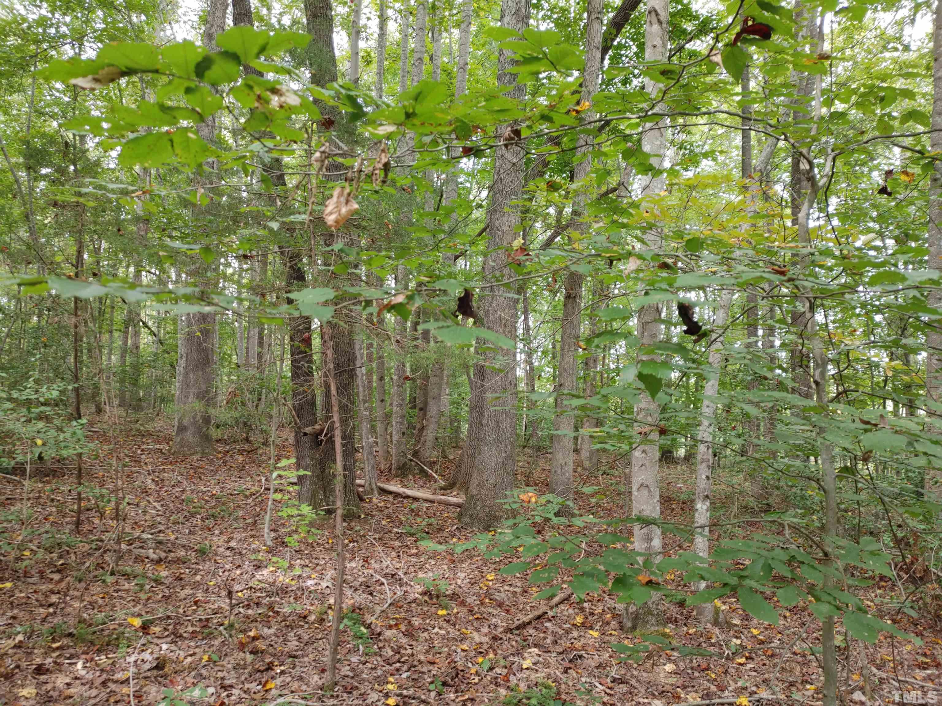 Lot 3 Virgilina Road Roxboro, NC 27574 - Photo 6 of 7 a backyard of a house with lots of green space and garden