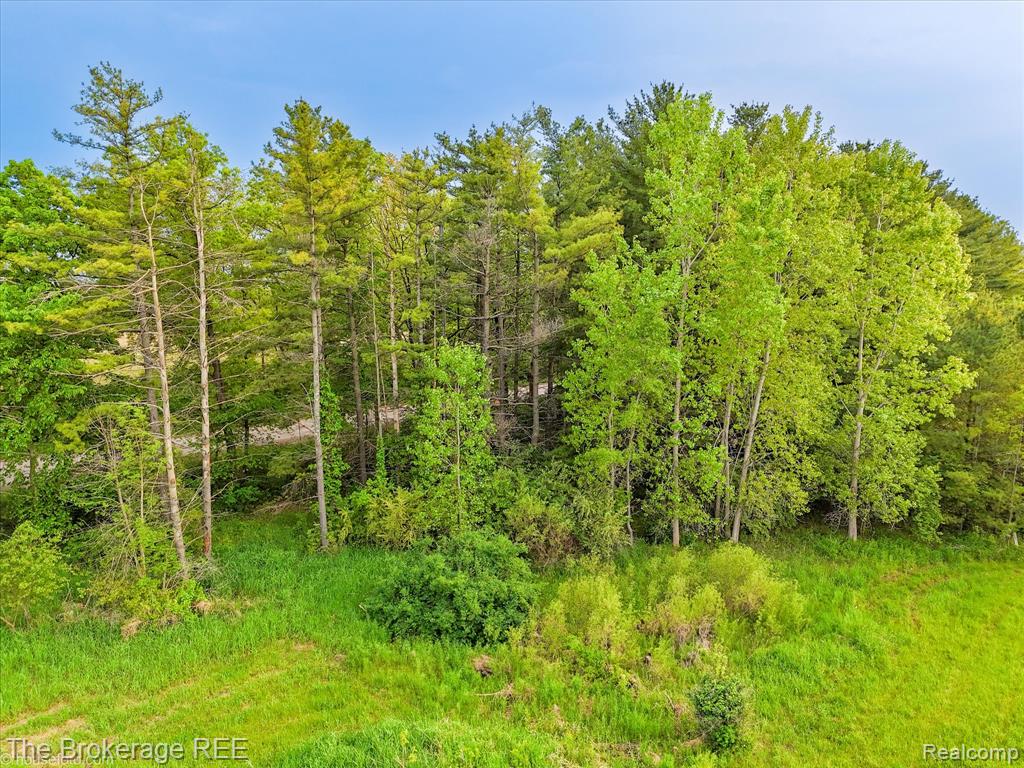 3020 Merwin Road Lapeer, MI 48446 - Photo 8 of 33