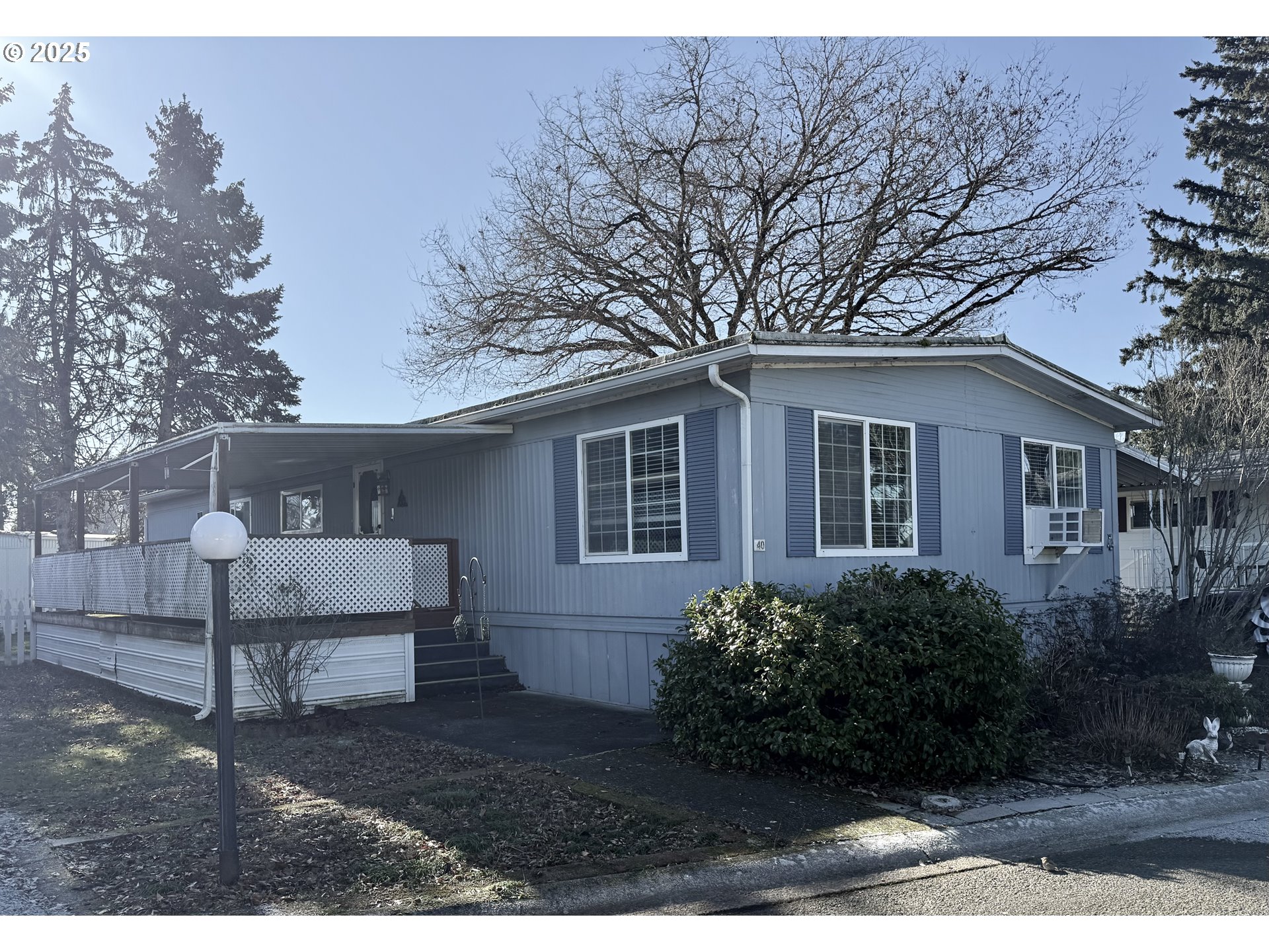 a view of a house with a yard and large tree
