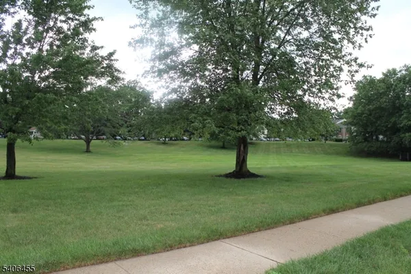 a view of a park with large trees