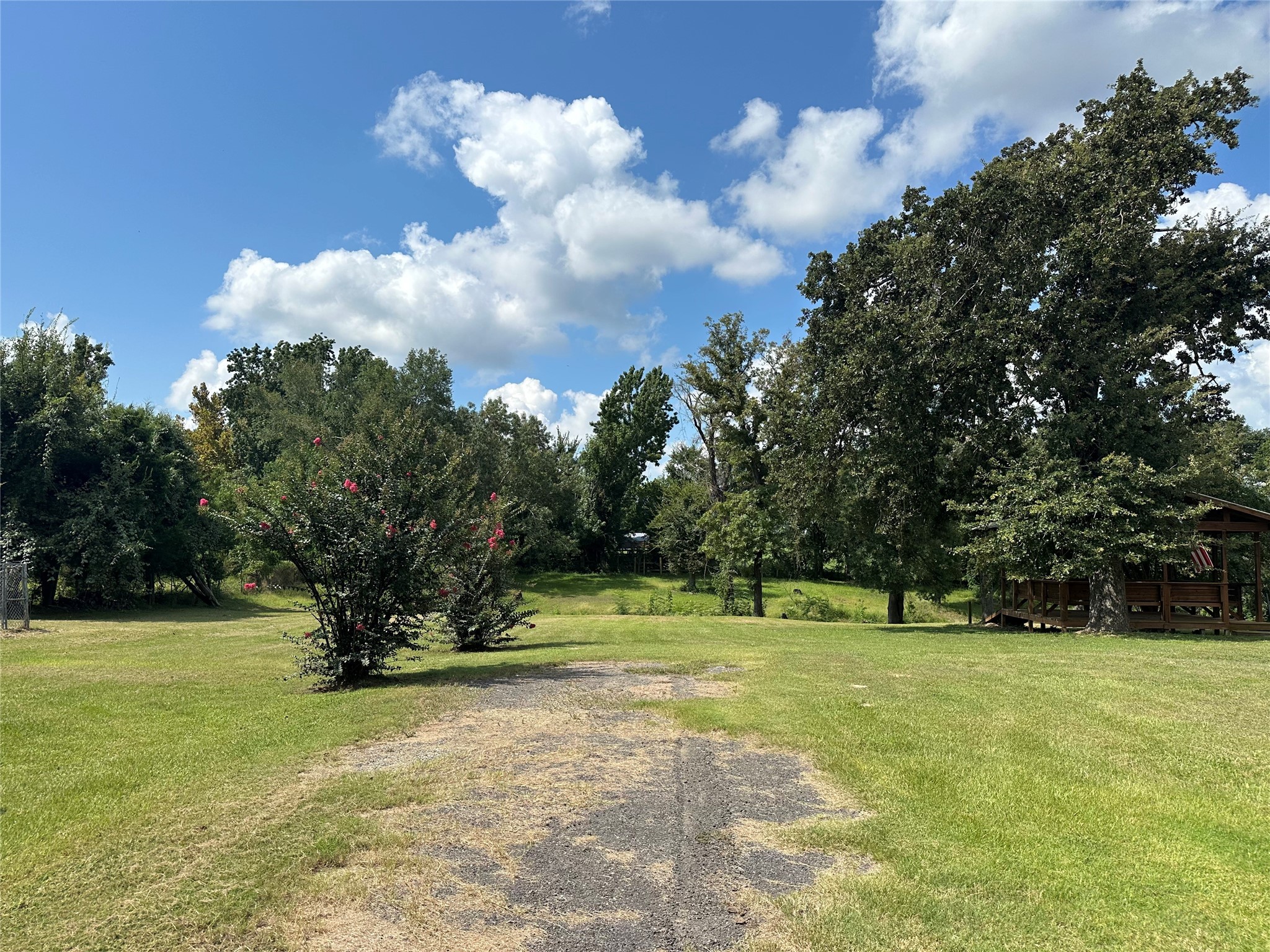 510 Ray Street Buffalo, TX 75831 - Photo 11 of 43 a view of a garden