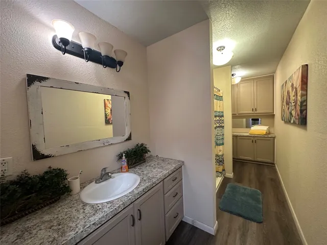 a bathroom with a sink and a shower