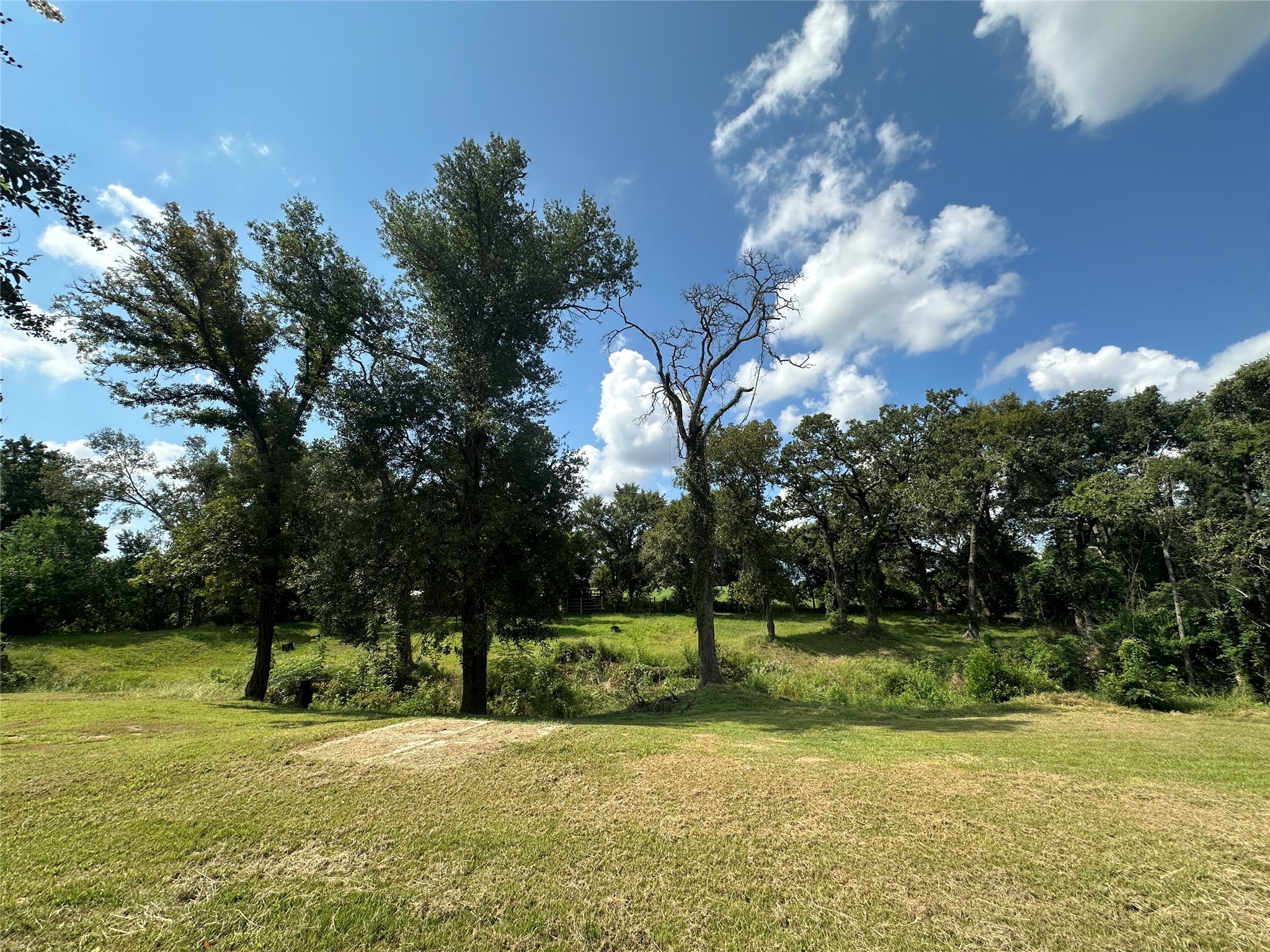 510 Ray Street Buffalo, TX 75831 - Photo 7 of 43 a view of a golf course
