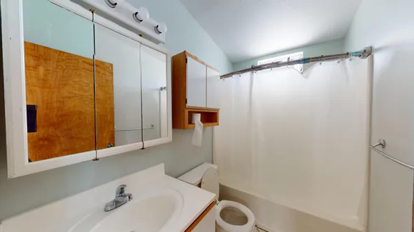 a view of backyard with plants and a patio