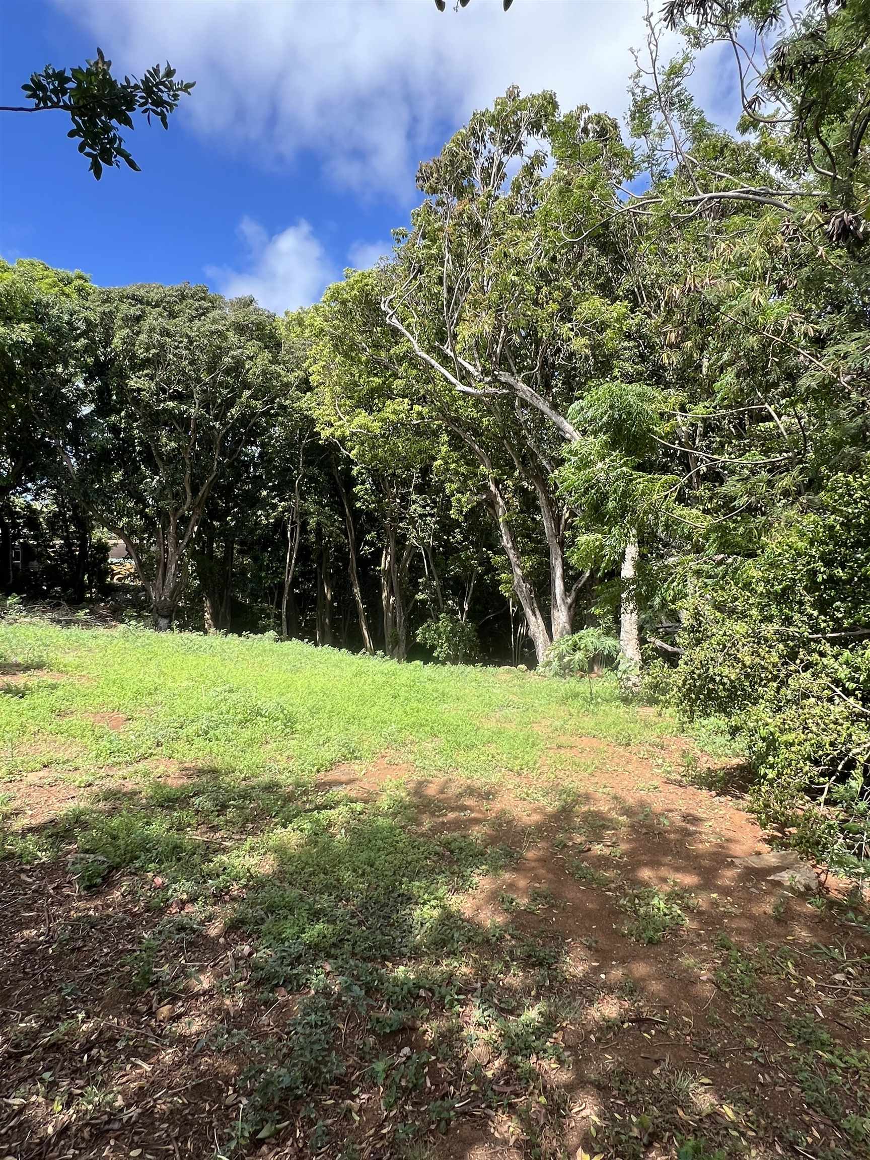 50 Pauwela Road, Unit B Haiku, HI 96708 - Photo 3 of 9