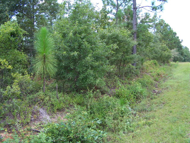 1 Connector Road Graniteville, SC 29829 - Photo 2 of 3