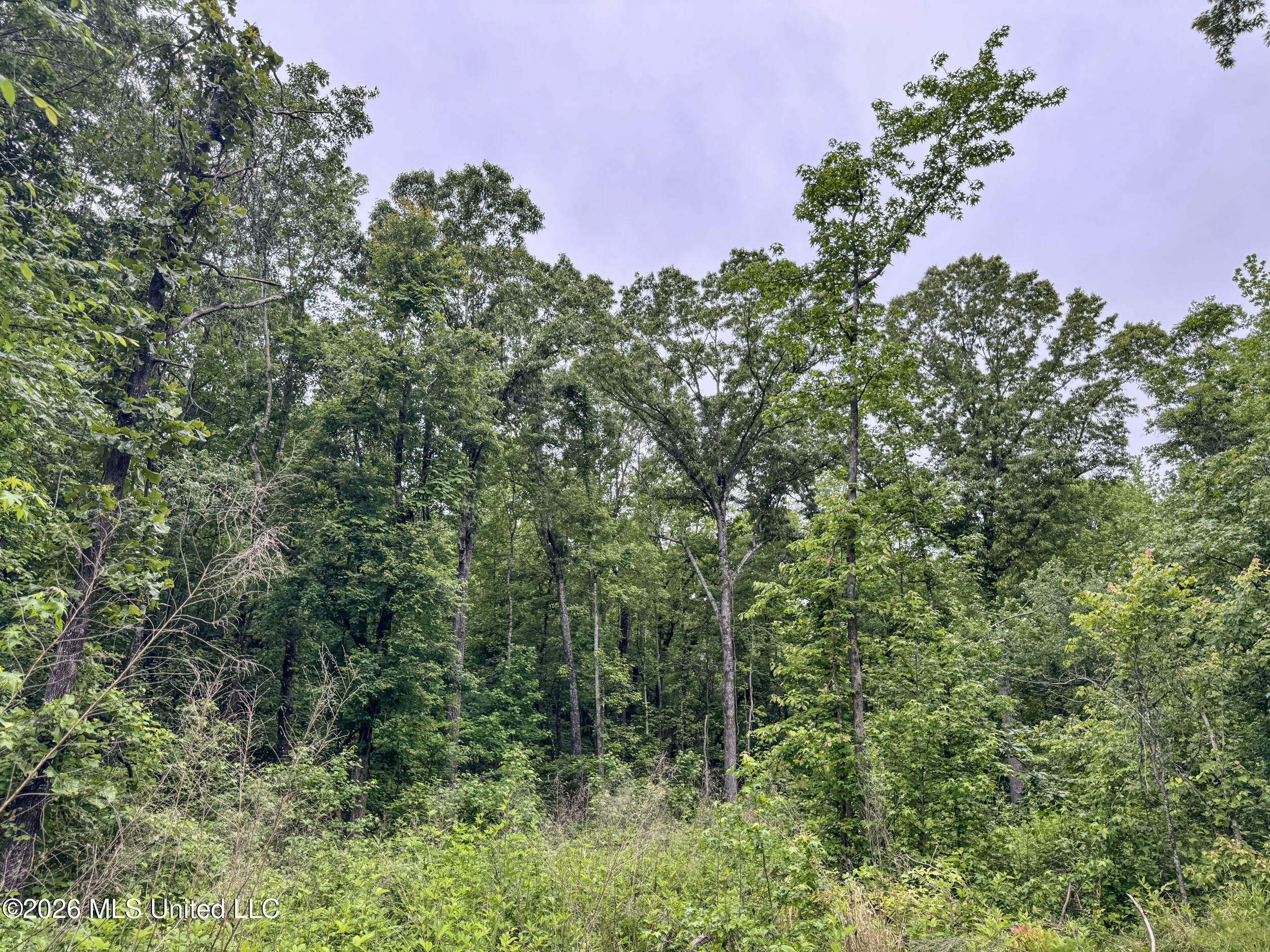 Wayne Massie Road Como, MS 38619 - Photo 113 of 184 5cdtbs47