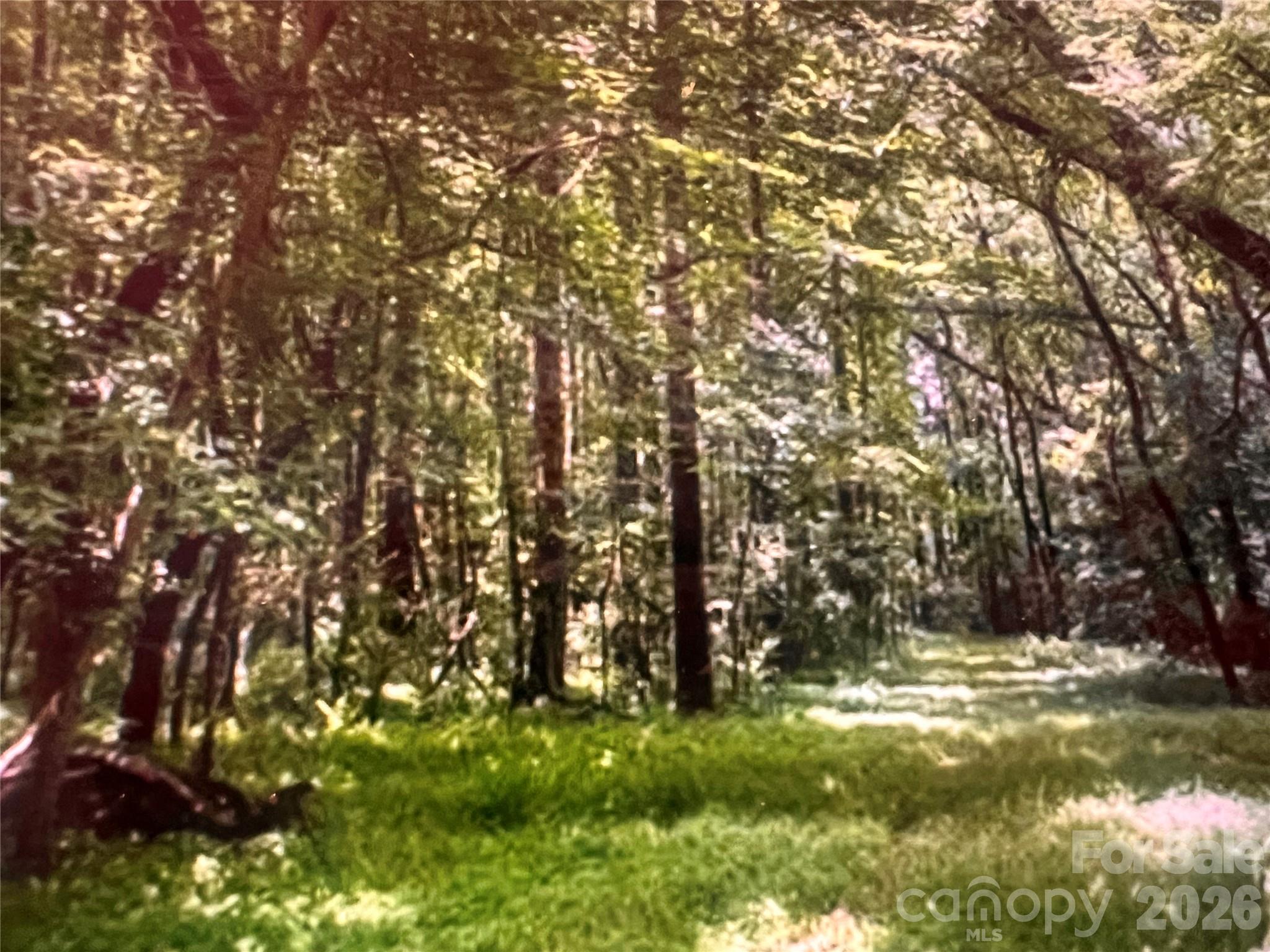 14300 Lawyers Road Matthews, NC 28104 - Photo 2 of 4