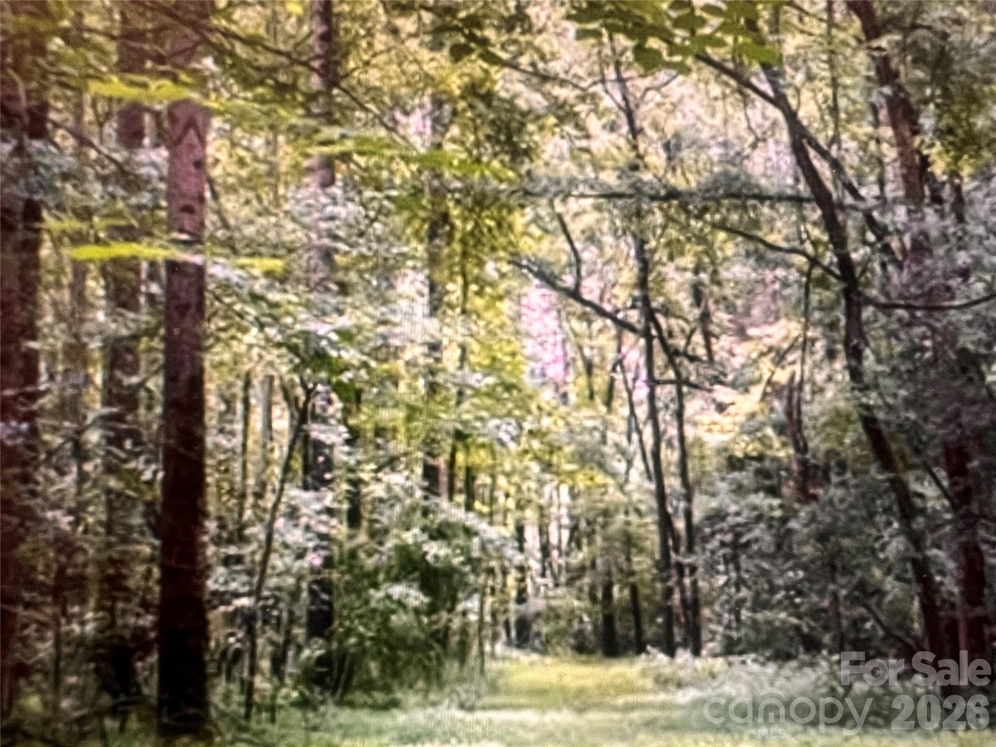 14300 Lawyers Road Matthews, NC 28104 - Photo 3 of 4