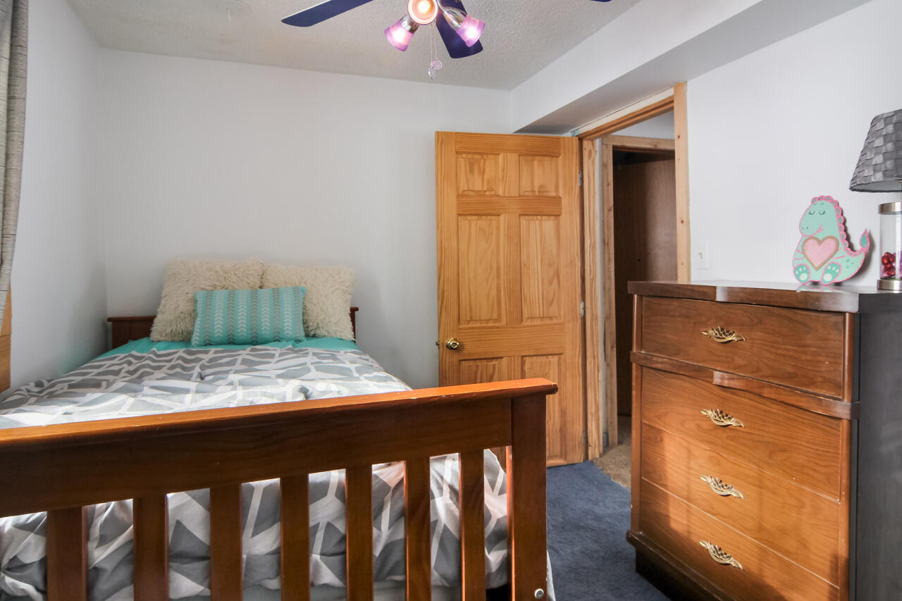 11551 Fewins Road Honor, MI 49640 - Photo 18 of 43 18-Scene-19