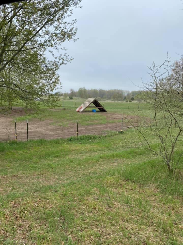 11551 Fewins Road Honor, MI 49640 - Photo 35 of 43 IMG_6159