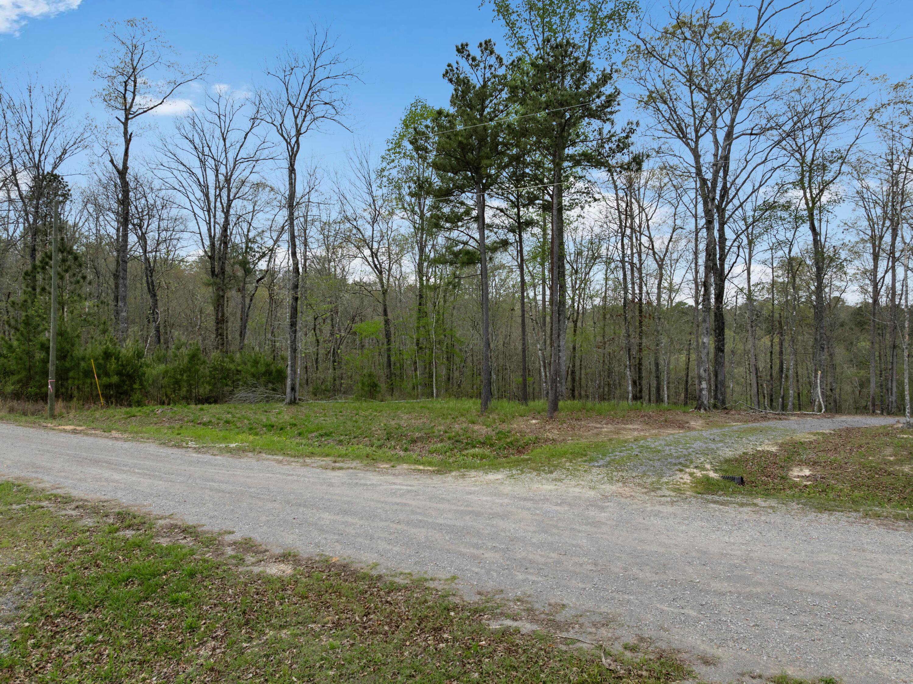 95 Amanda’s Way Jasper, AL 35503 - Photo 21 of 28 DJI_20260402090314_0158_D-Edit