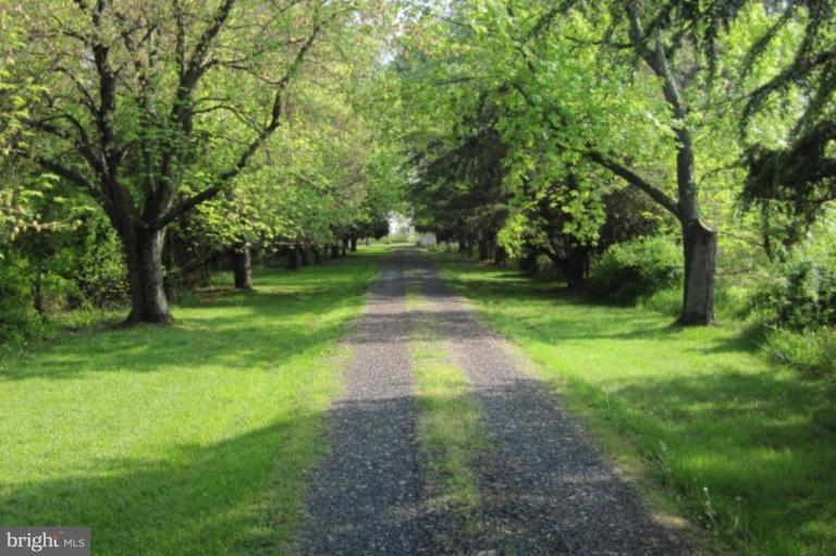 7286 Bozman Neavitt Road Bozman, MD 21612 - Photo 3 of 12 Private tree-lined driveway
