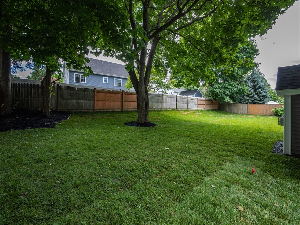 5 Stanley Street Natick, MA 01760 - Photo 4 of 21 a view of a backyard with a garden and trees