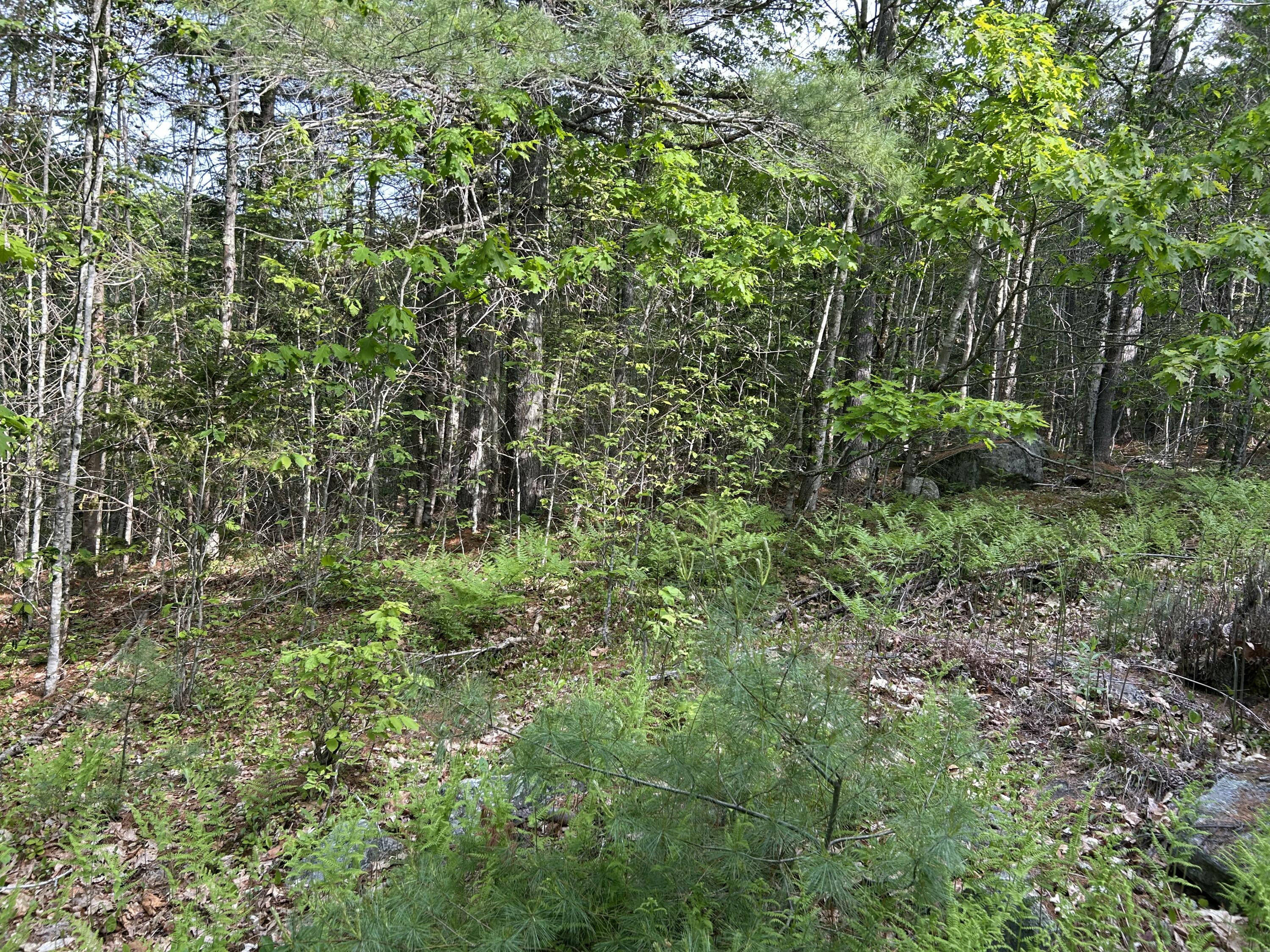 M5-l16 Clark Road Prospect, ME 04981 - Photo 20 of 45 IMG_8771