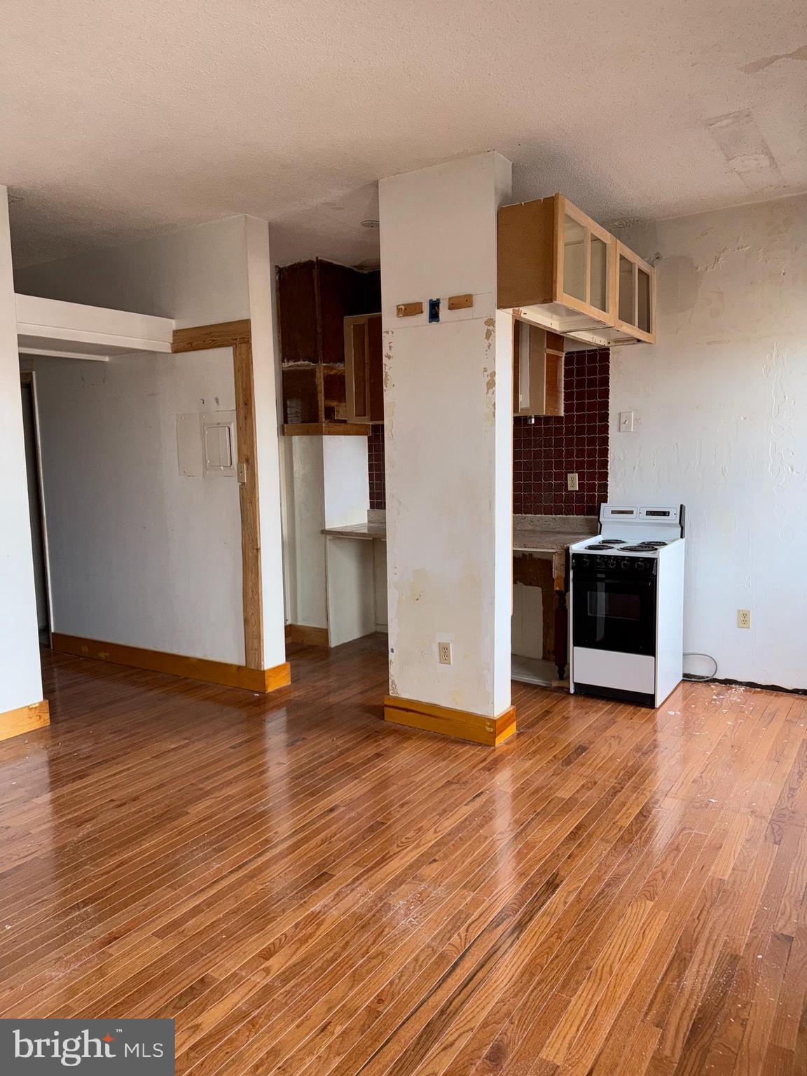 1615 Q Street Northwest, Unit 509 Washington, DC 20009 - Photo 12 of 16 an empty room with wooden floor and fireplace
