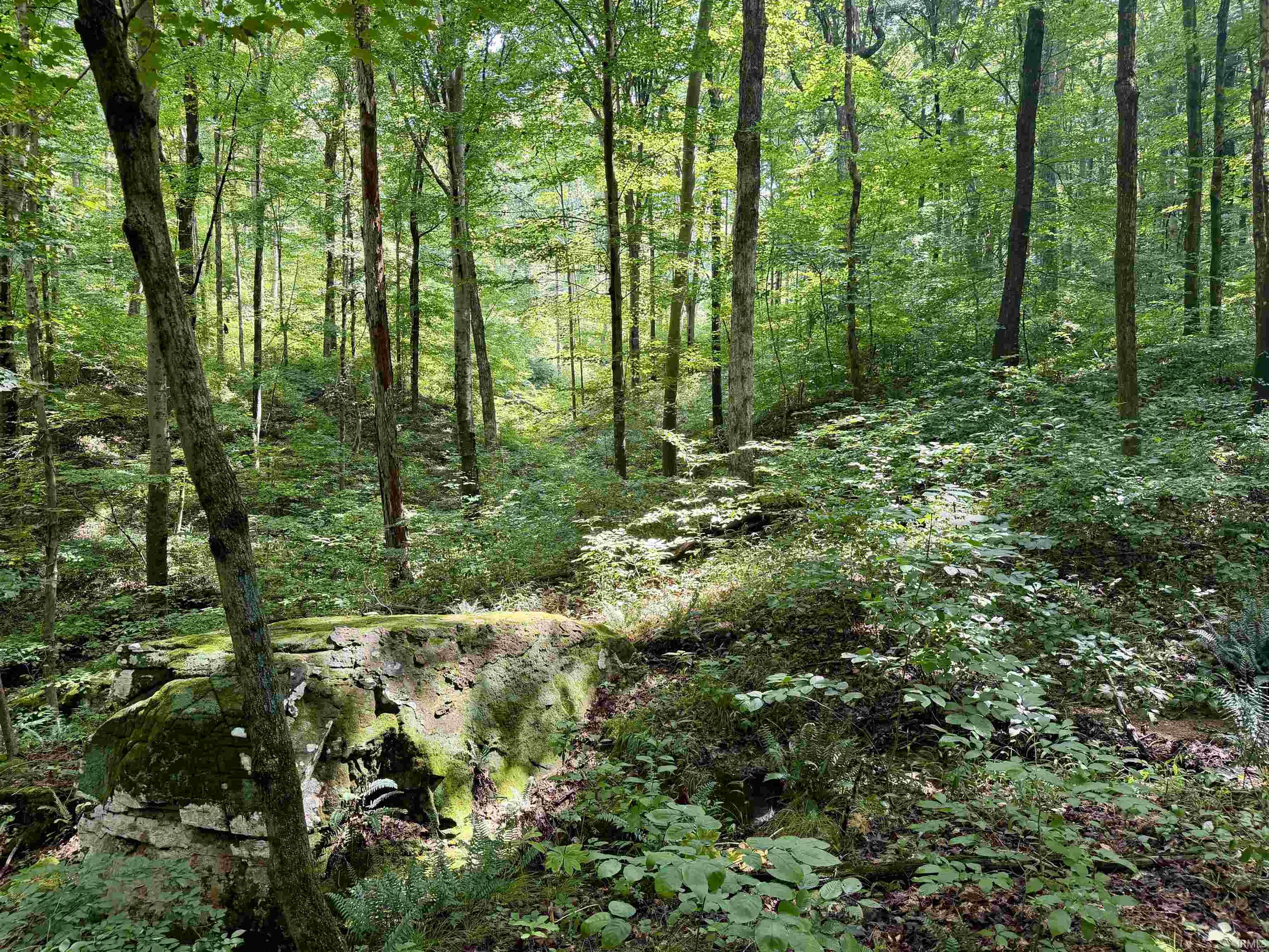 Off Candlestick Road Bristow, IN 47515 - Photo 22 of 30