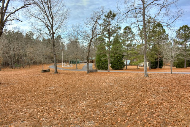 199 Quattlebaum Road Wagener, SC 29164 - Photo 31 of 32