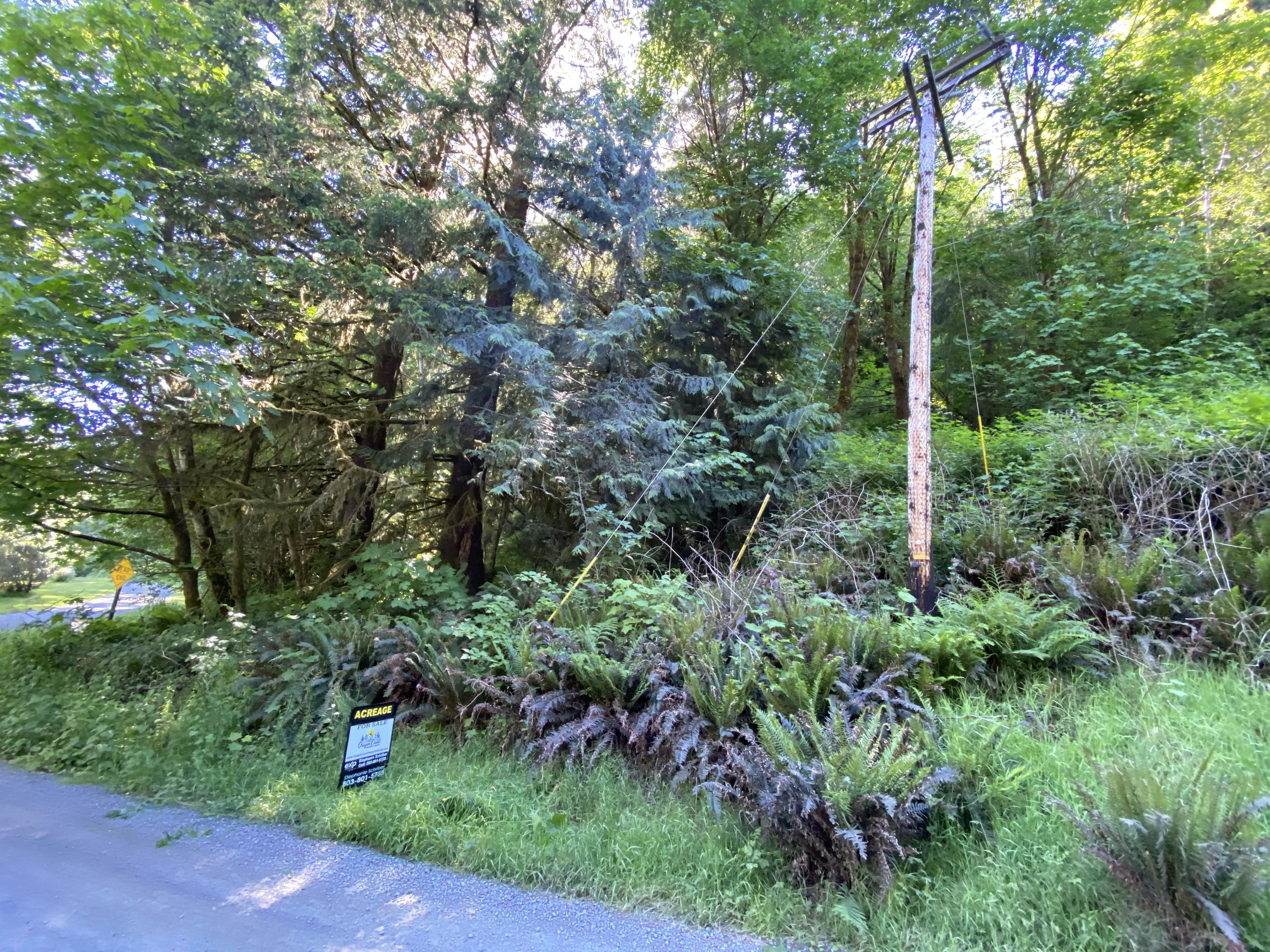 West Point Drive Nehalem, OR 97131 - Photo 12 of 19 Photo Jun 09, 4 21 44 PM