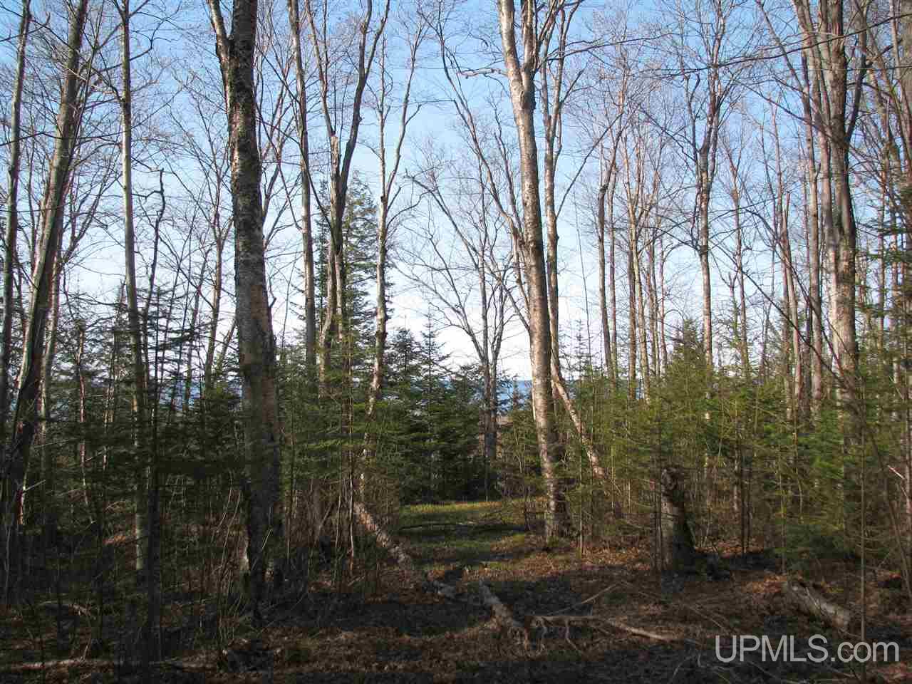 Tbd County Rd H-58 Grand Marais, MI 49839 - Photo 1 of 11