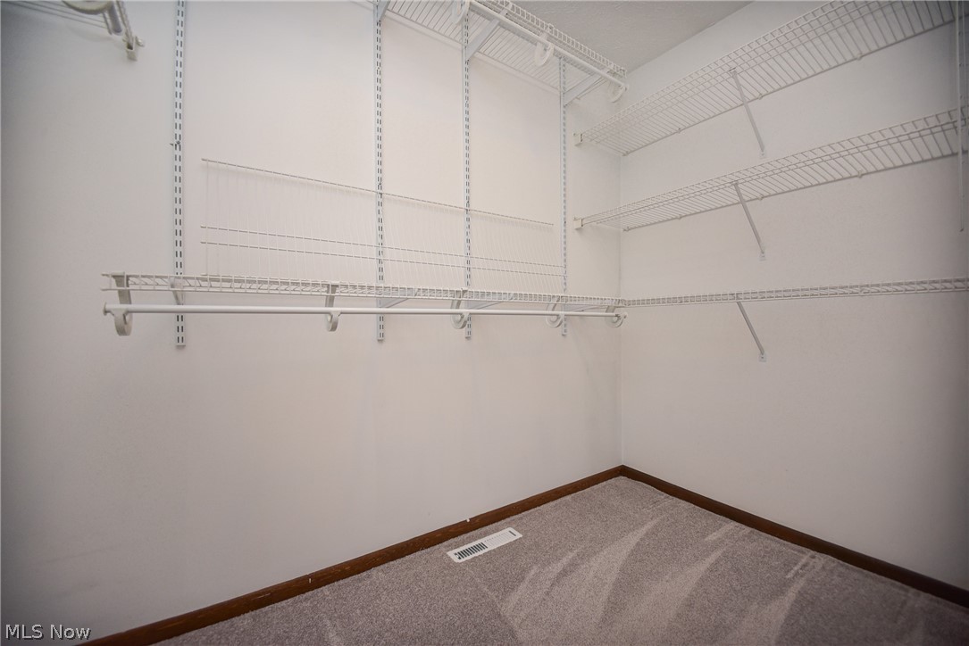 17134 Rabbit Run Drive Strongsville, OH 44136 - Photo 32 of 50 Walk-in Closet