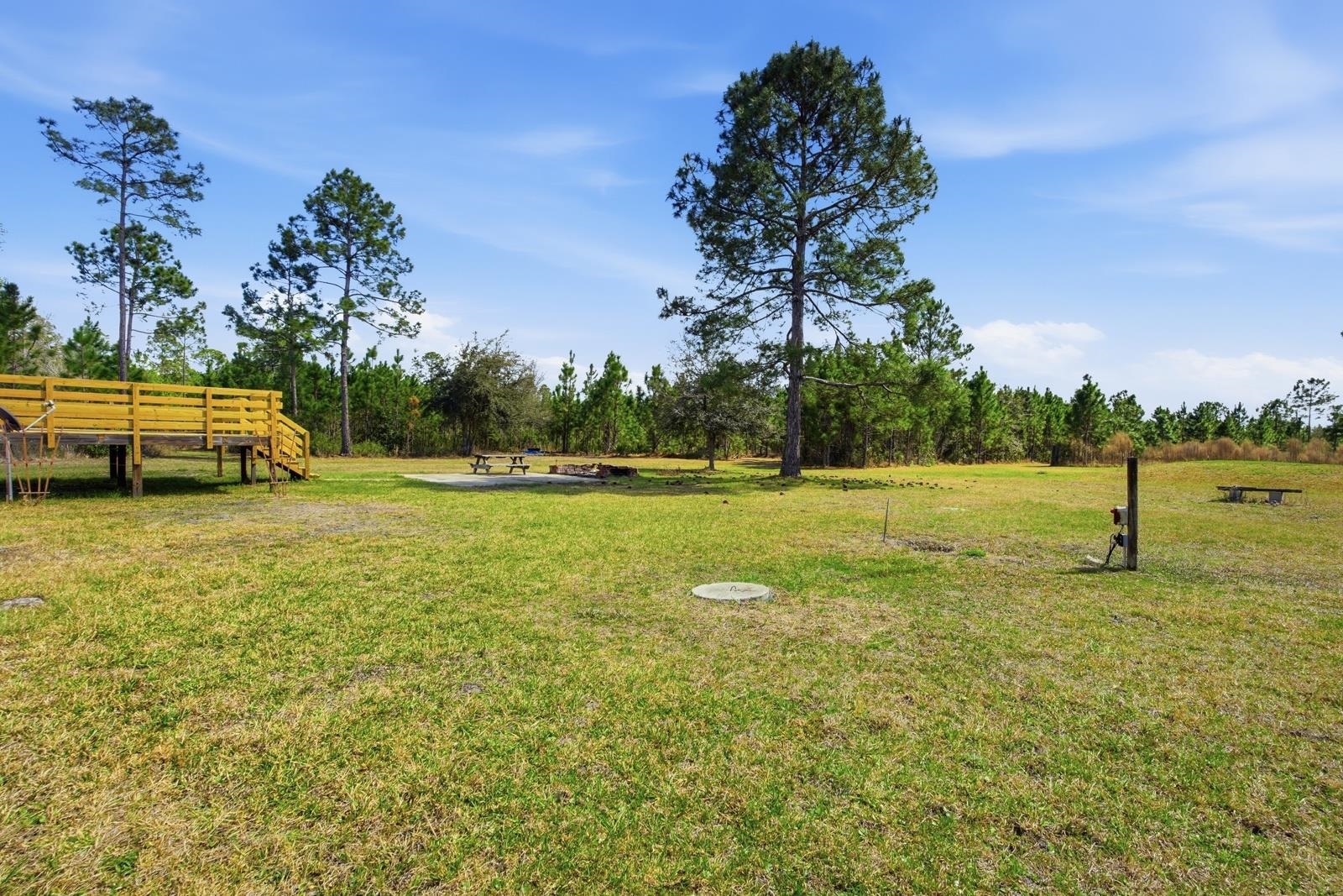 299 Cayenne Street Interlachen, FL 32148 - Photo 44 of 73 View of green lawn
