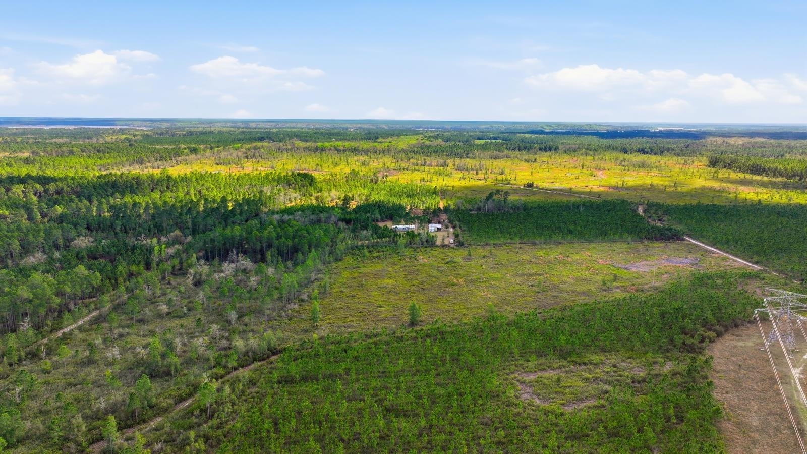 299 Cayenne Street Interlachen, FL 32148 - Photo 48 of 73 Bird's eye view