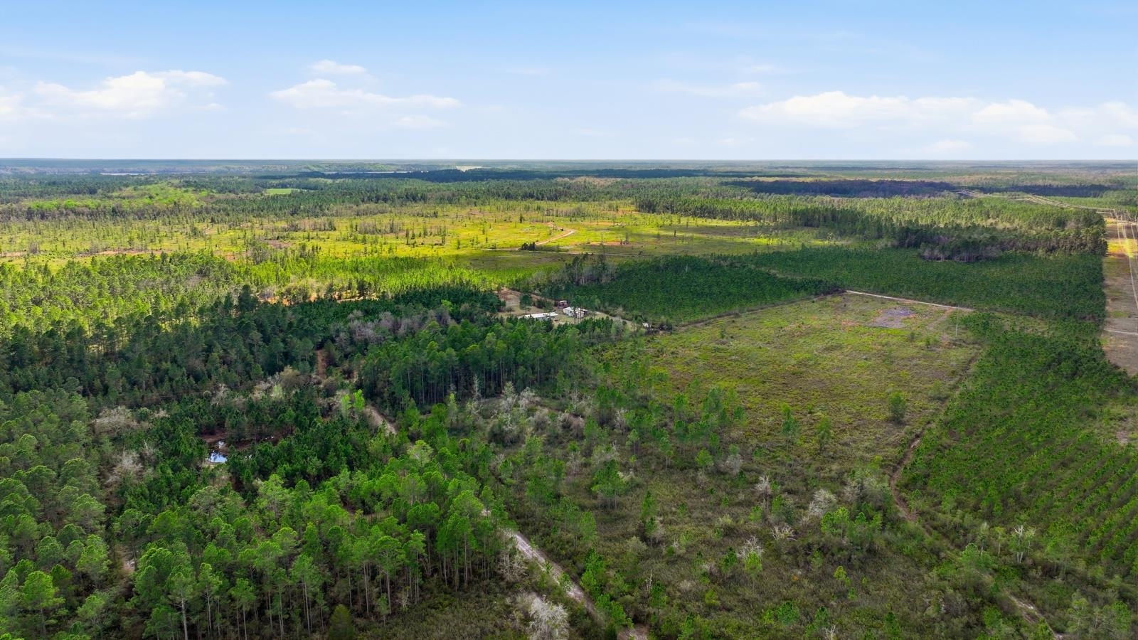 299 Cayenne Street Interlachen, FL 32148 - Photo 49 of 73 Drone / aerial view of a heavily wooded area