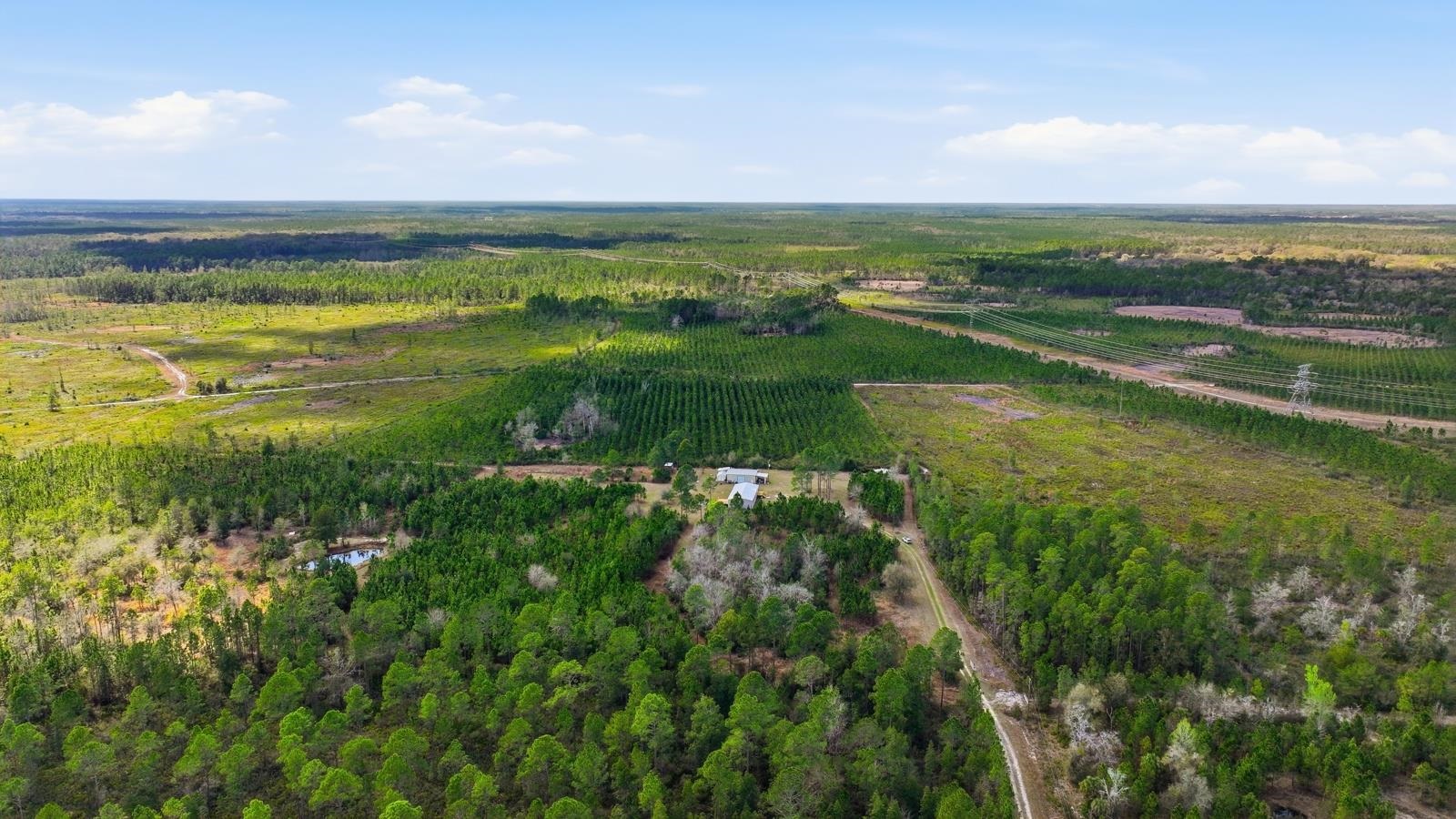 299 Cayenne Street Interlachen, FL 32148 - Photo 50 of 73 View of rural area with farmland