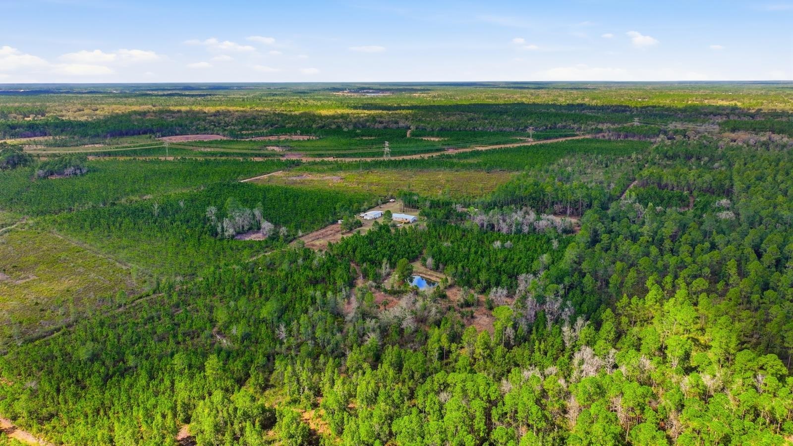 299 Cayenne Street Interlachen, FL 32148 - Photo 52 of 73 Drone / aerial view