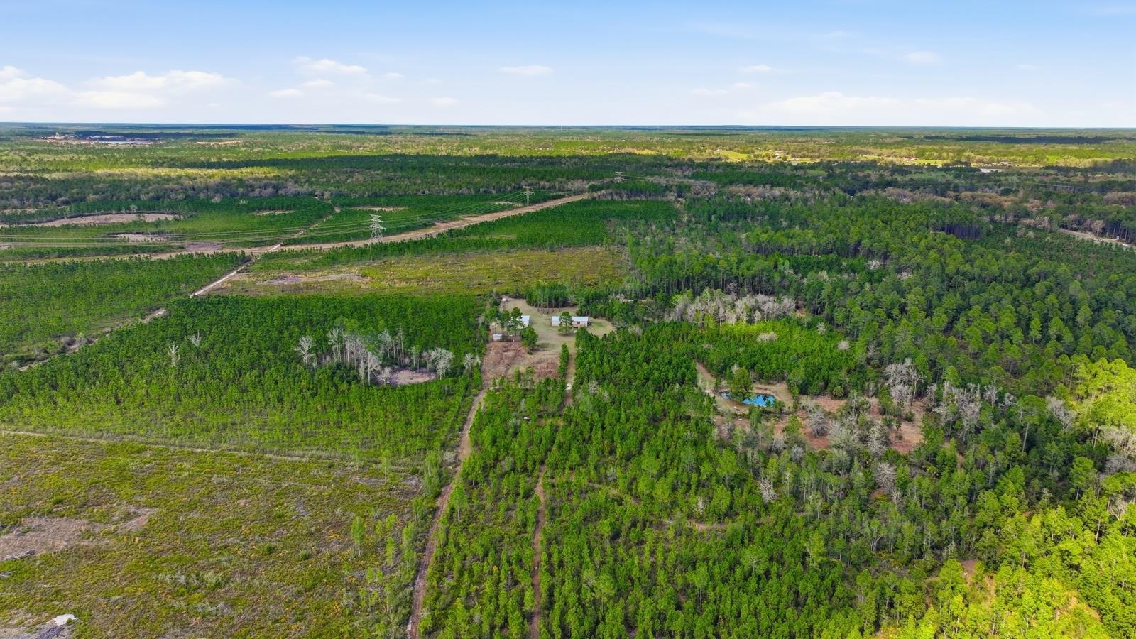 299 Cayenne Street Interlachen, FL 32148 - Photo 53 of 73 Drone / aerial view