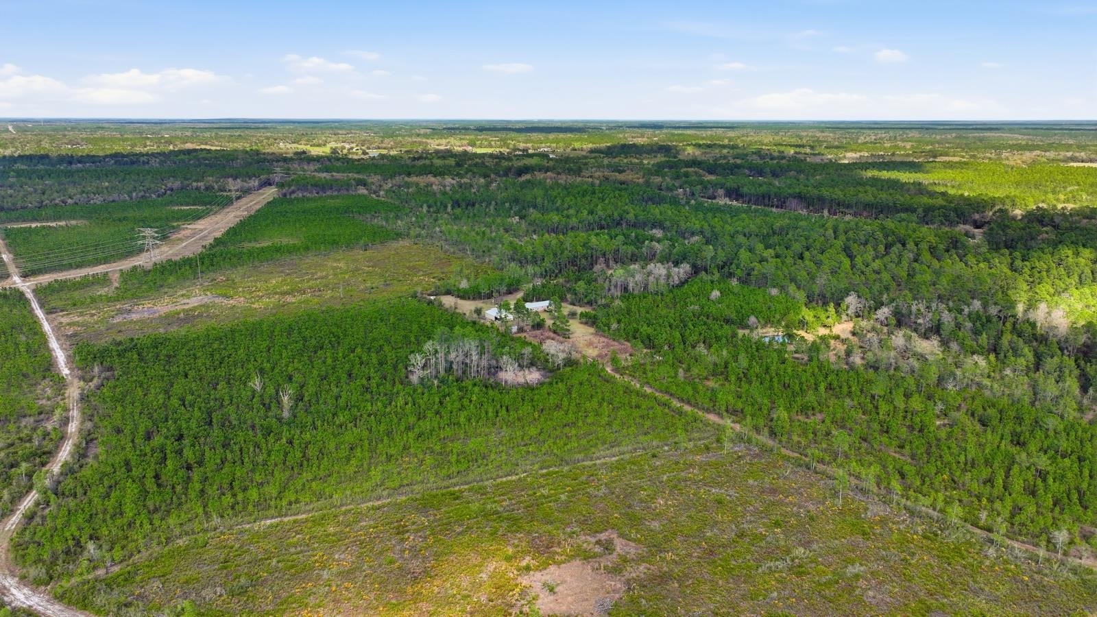299 Cayenne Street Interlachen, FL 32148 - Photo 54 of 73 Drone / aerial view