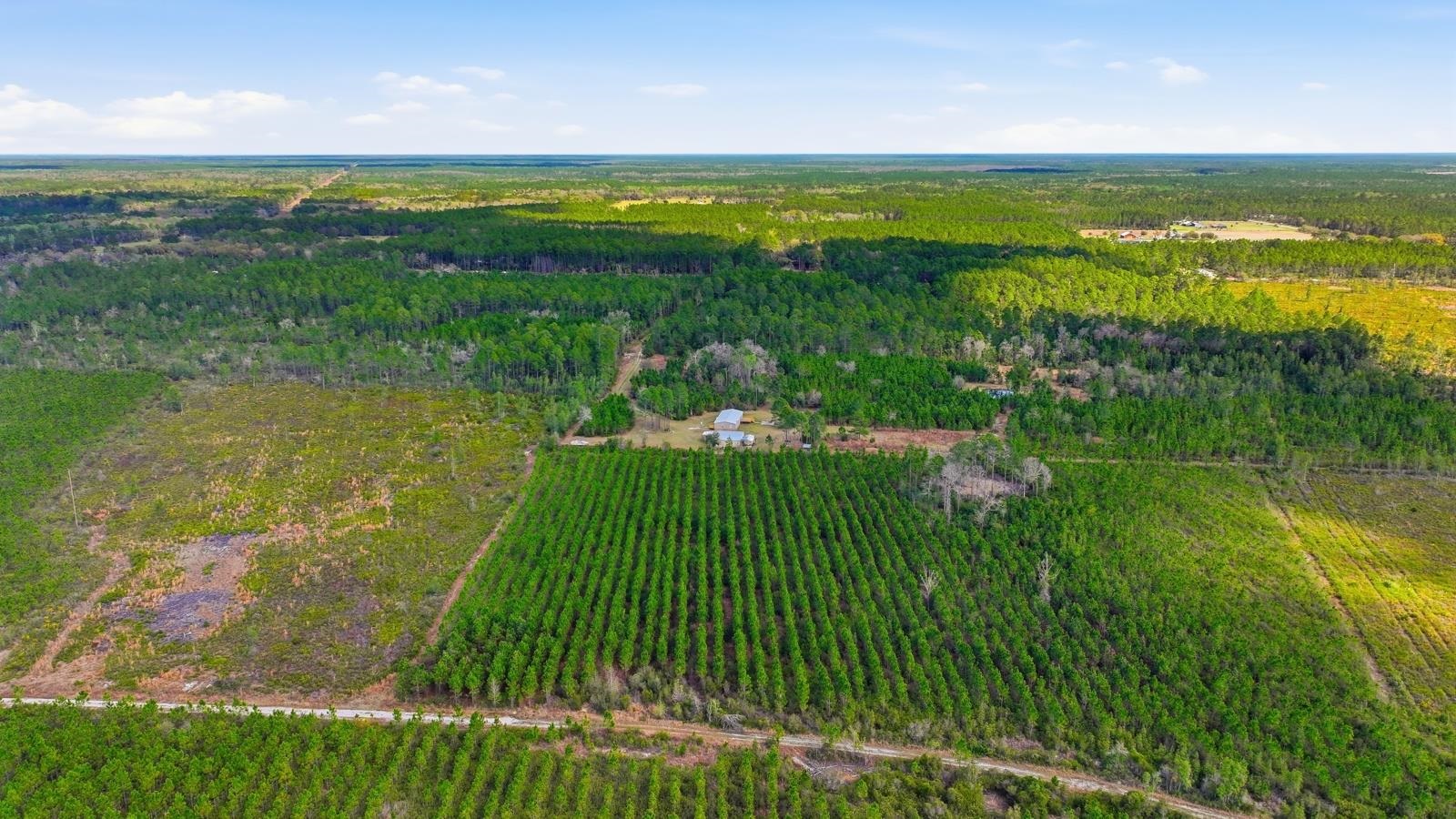 299 Cayenne Street Interlachen, FL 32148 - Photo 55 of 73 Bird's eye view of a heavily wooded area