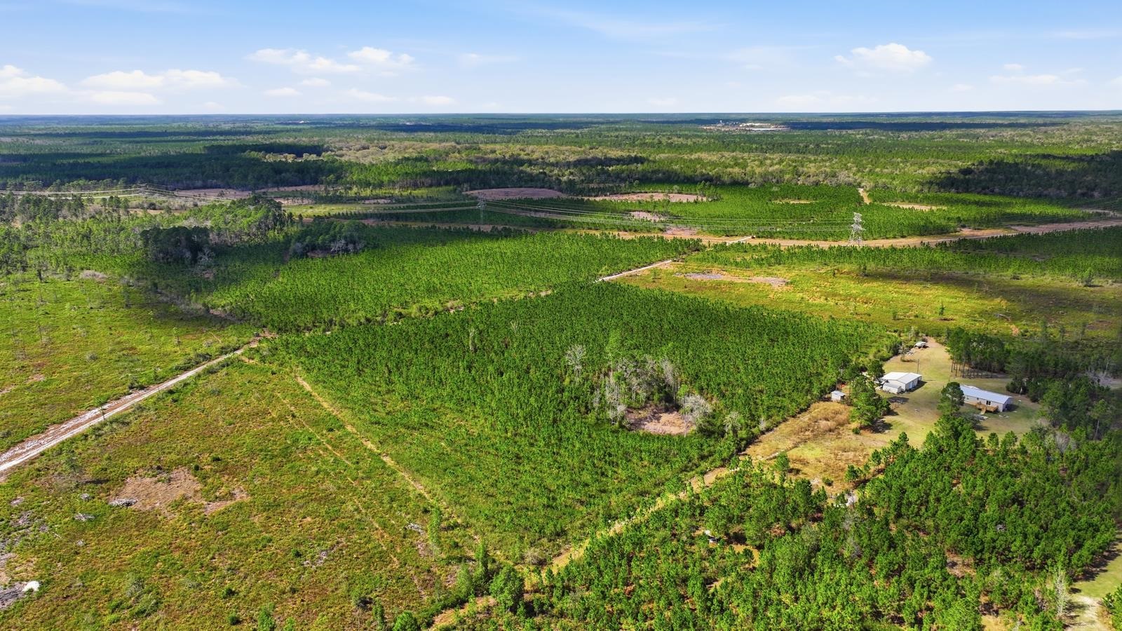 299 Cayenne Street Interlachen, FL 32148 - Photo 57 of 73 Overview of rural landscape