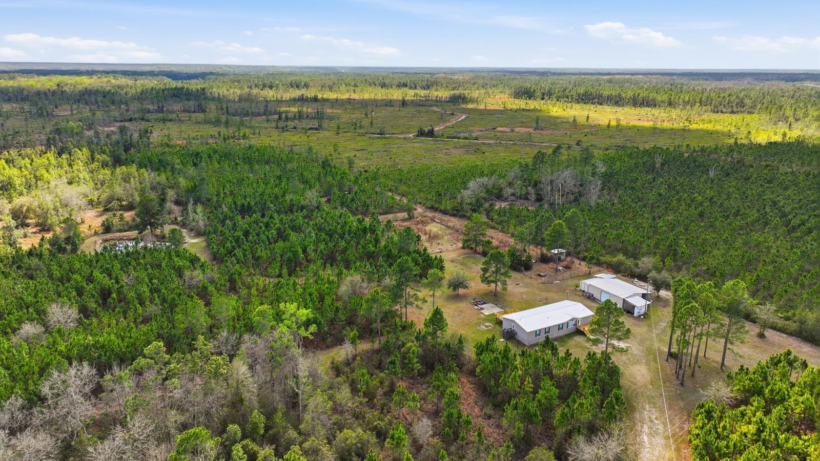 299 Cayenne Street Interlachen, FL 32148 - Photo 65 of 73 View of rural area with a forest
