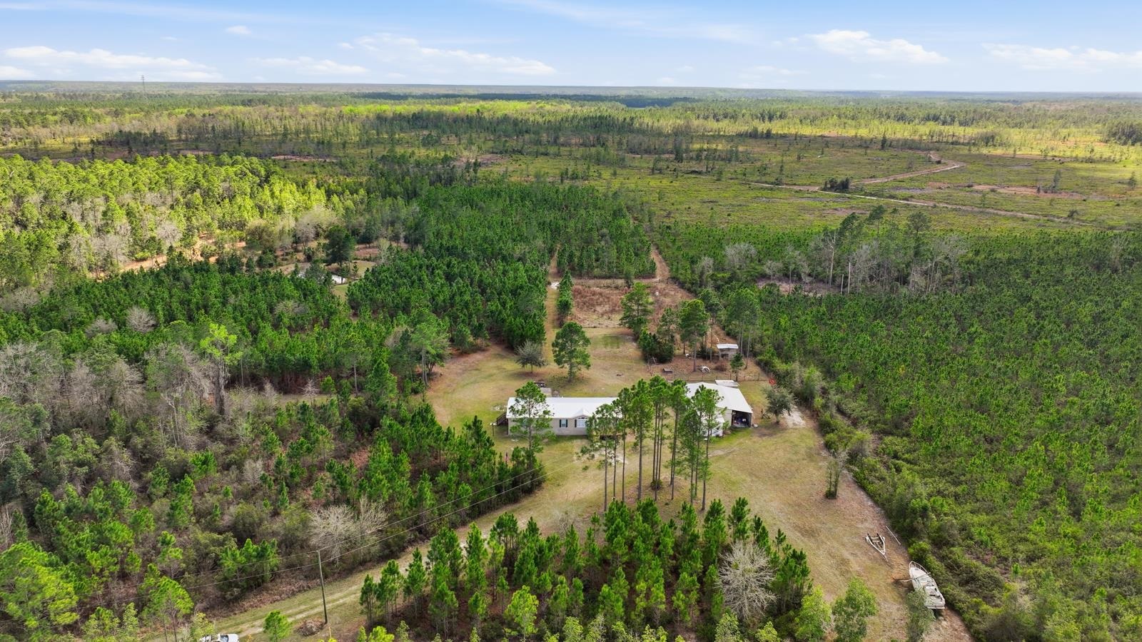 299 Cayenne Street Interlachen, FL 32148 - Photo 66 of 73 View of rural area with a forest