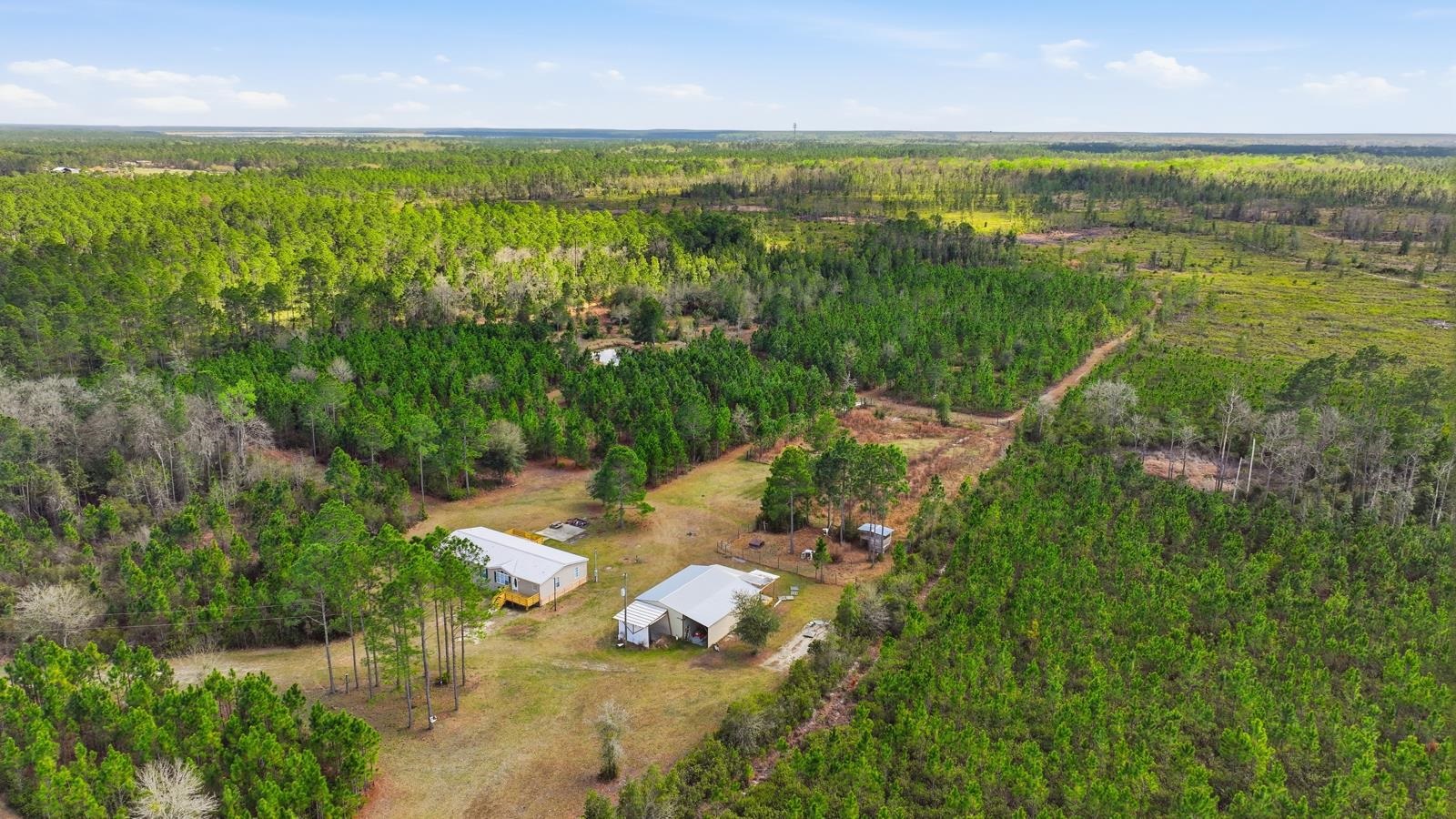 299 Cayenne Street Interlachen, FL 32148 - Photo 67 of 73 View of rural area with a heavily wooded area