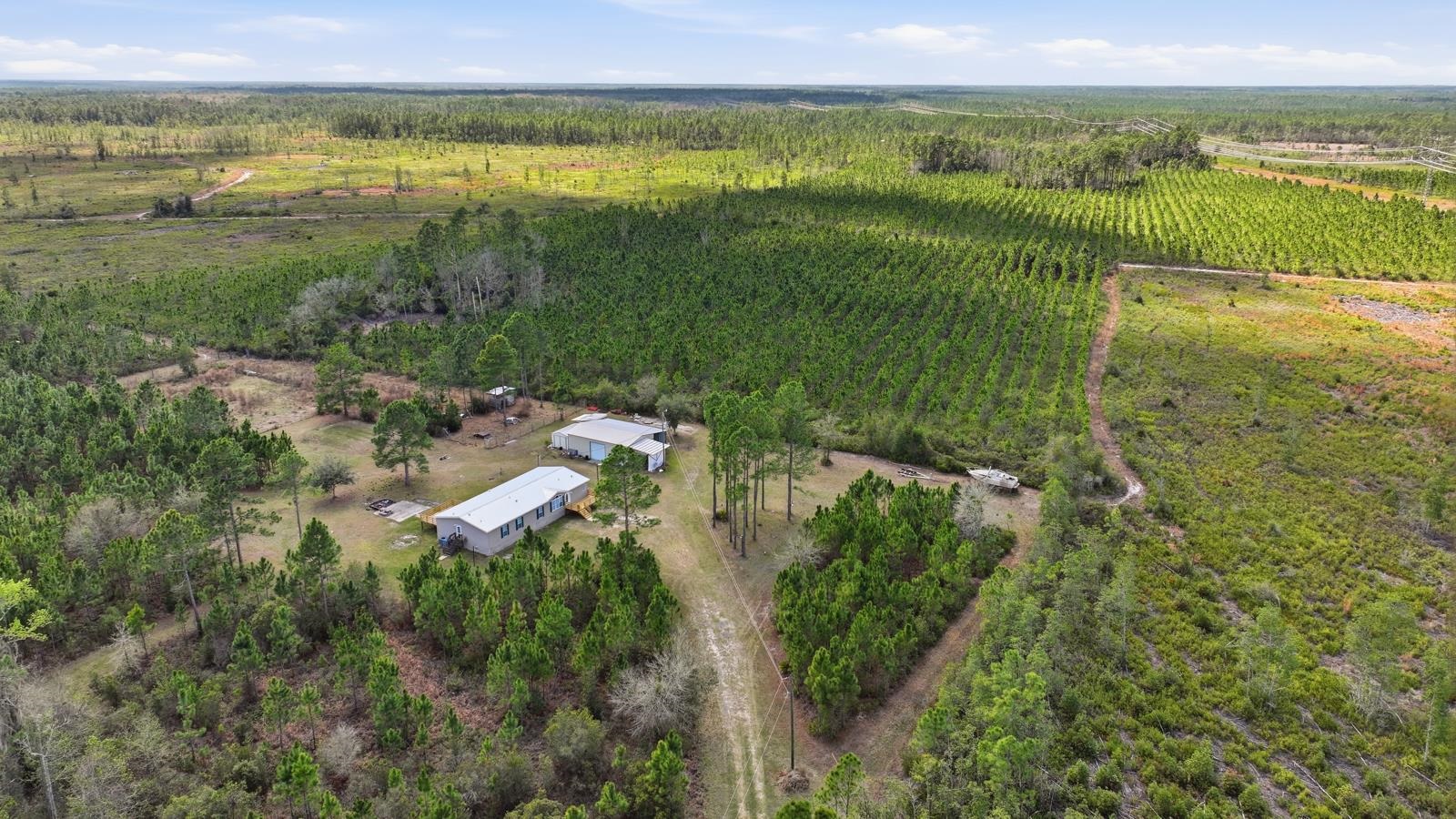 299 Cayenne Street Interlachen, FL 32148 - Photo 69 of 73 View of rural area featuring farmland and a forest