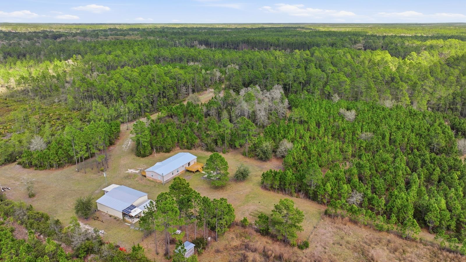 299 Cayenne Street Interlachen, FL 32148 - Photo 71 of 73 Bird's eye view of a forest