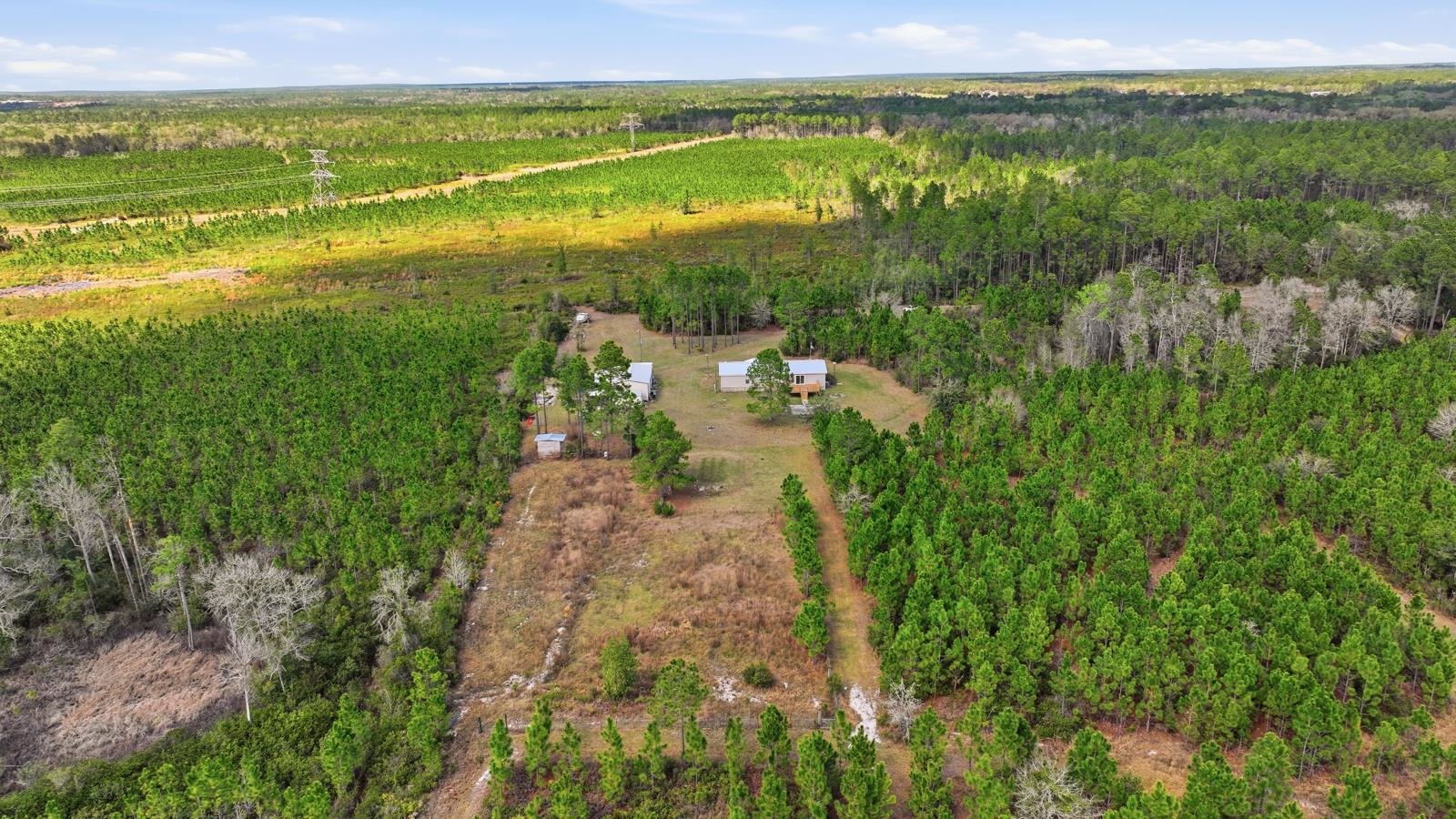 299 Cayenne Street Interlachen, FL 32148 - Photo 72 of 73 Aerial view of sparsely populated area