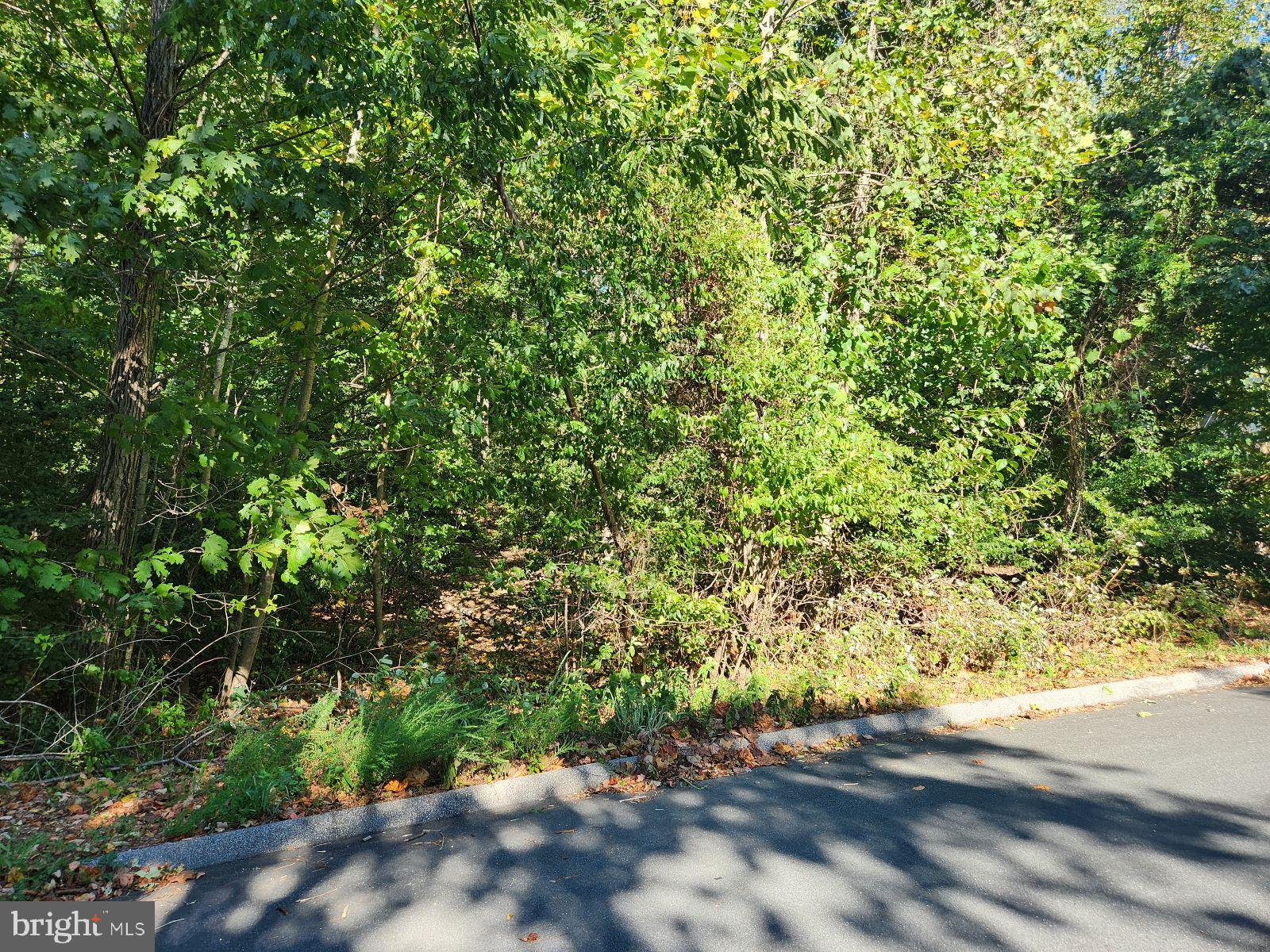 513 Cody Trail Lusby, MD 20657 - Photo 6 of 7 a view of a yard with a tree