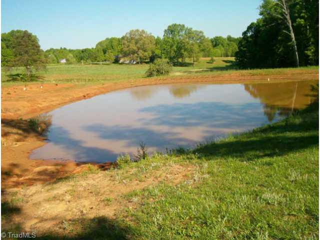 1838 Pratt Road Pinnacle, NC 27043 - Photo 3 of 4 Other.