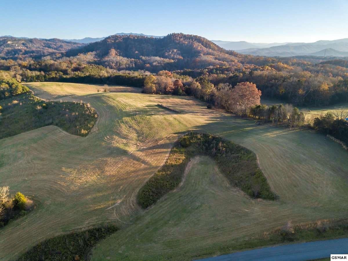 2854 Acres Denton Road Sevierville, TN 37862 - Photo 6 of 9