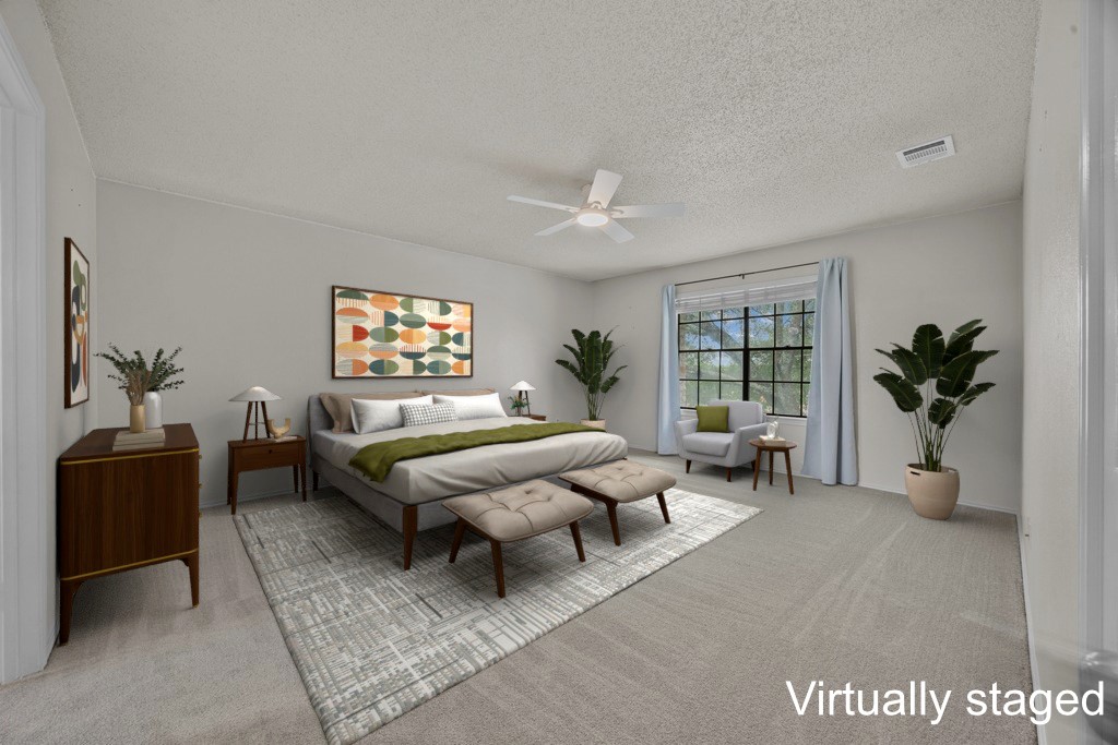 1000 West Noton Street Pflugerville, TX 78660 - Photo 20 of 35 a living room with furniture potted plant and a window